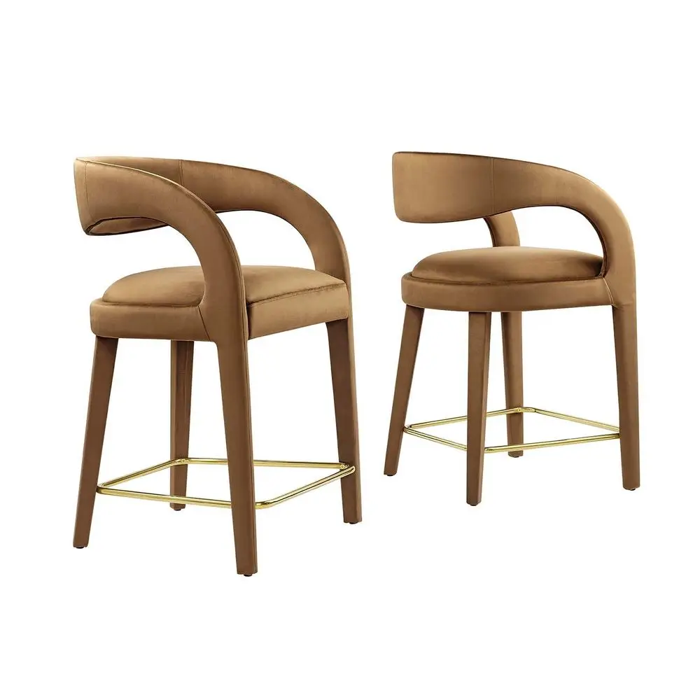 EEI6566BRNGLD Pinnacle Performance Velvet Counter Stool Set of Two, Brown Gold
EEI6566BRNGLD Pinnacle Performance Velvet Counter Stool Set of Two, Brown Gold