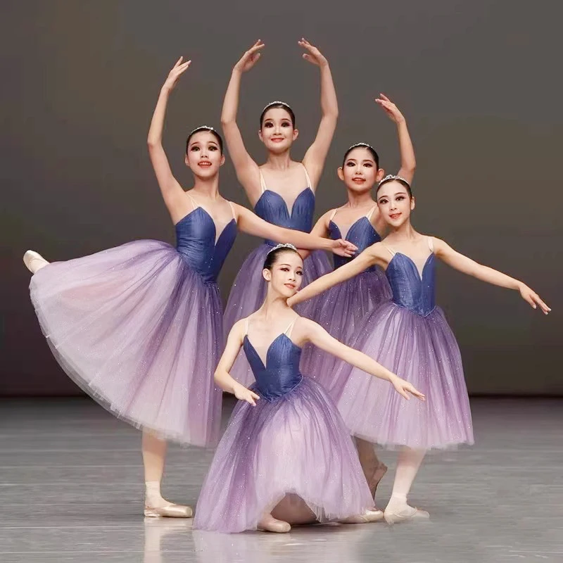 Ballet Tutu Skirt Women Dress Long Vestidos For Girls Performance Clothing Swan Belly Dance Skirts
Ballet Tutu Skirt Women Dress Long Vestidos For Girls Performance Clothing Swan Belly Dance Skirts