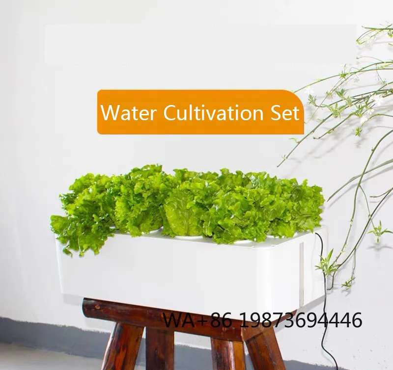 3-layer Indoor Hydroponic System, Organic Vegetable Planting with Growth Lamp
3-layer Indoor Hydroponic System, Organic Vegetable Planting with Growth Lamp