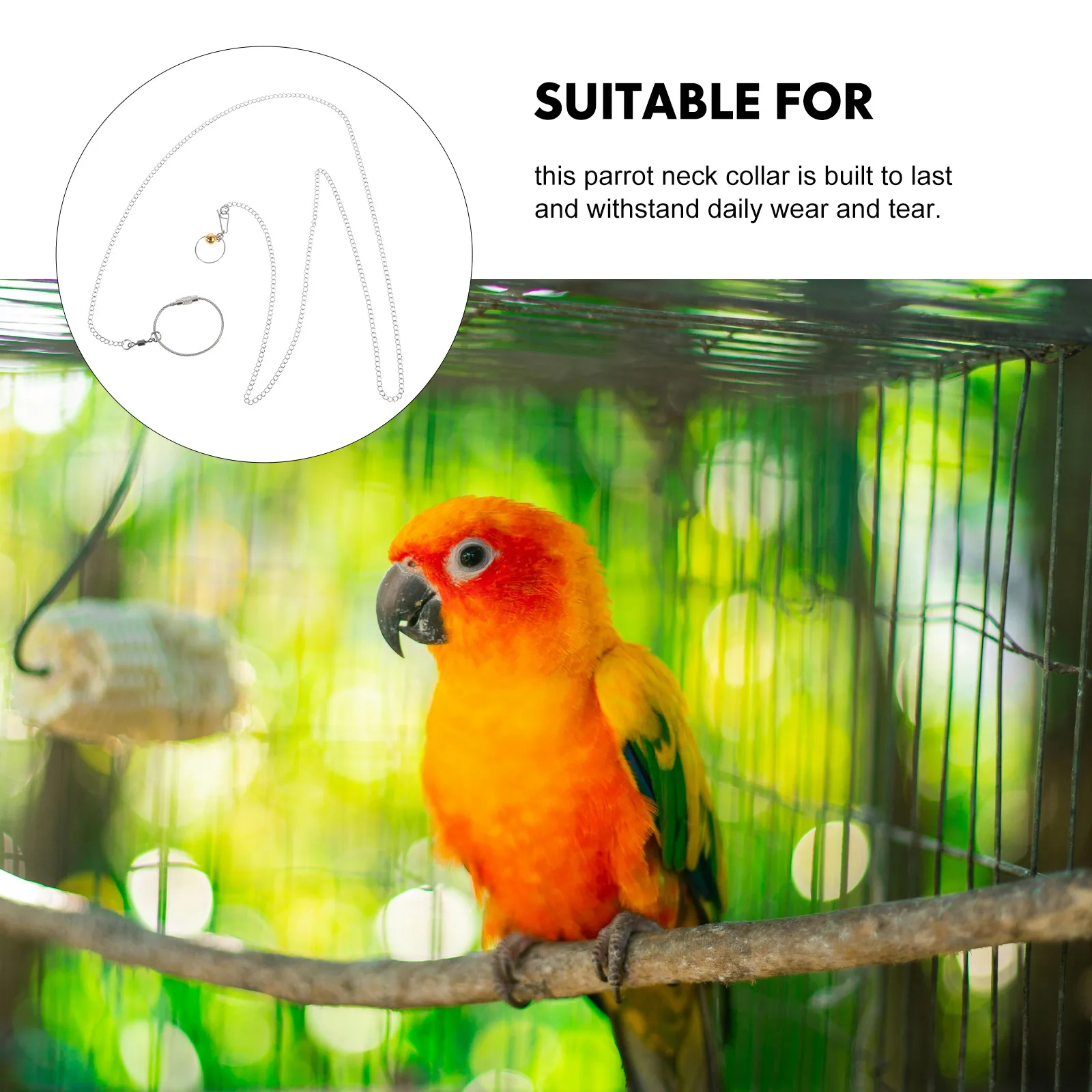 Stainless Steel Bird Chain 1 Meter Parrot Neck Collar Secure Leash Foot for Cockatiels Lovebirds Prevent Escape
Stainless Steel Bird Chain 1 Meter Parrot Neck Collar Secure Leash Foot for Cockatiels Lovebirds Prevent Escape