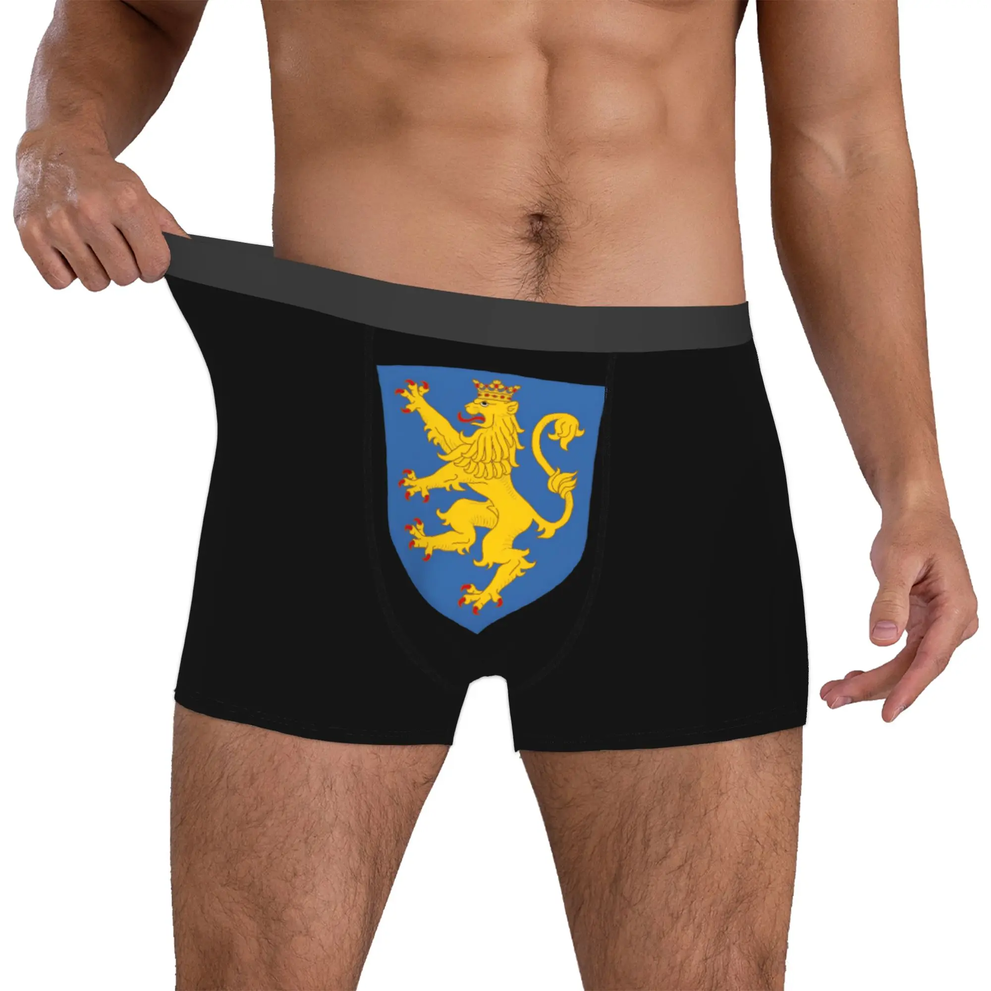 Custom Male Funny Ukraine Flag Underwear Boxer Briefs Stretch Shorts Panties Underpants
Custom Male Funny Ukraine Flag Underwear Boxer Briefs Stretch Shorts Panties Underpants