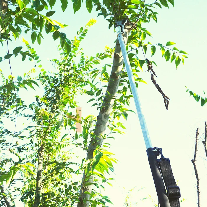 Portable Electric Shears With Varieties Of Long Handle Tree Trimmer
Portable Electric Shears With Varieties Of Long Handle Tree Trimmer
