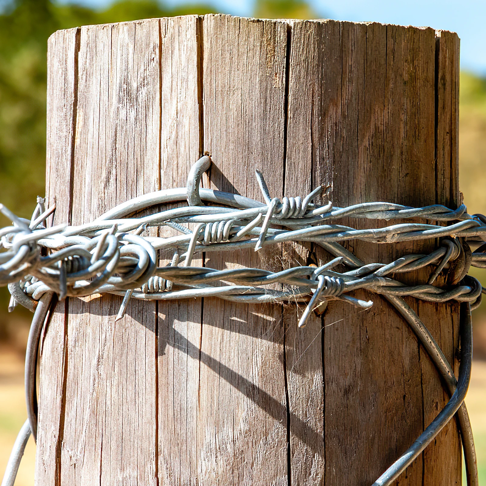 U-shaped Nails Garden Ground Fencing Heavy Duty Fence Fixer Staple for Wire Type
U-shaped Nails Garden Ground Fencing Heavy Duty Fence Fixer Staple for Wire Type