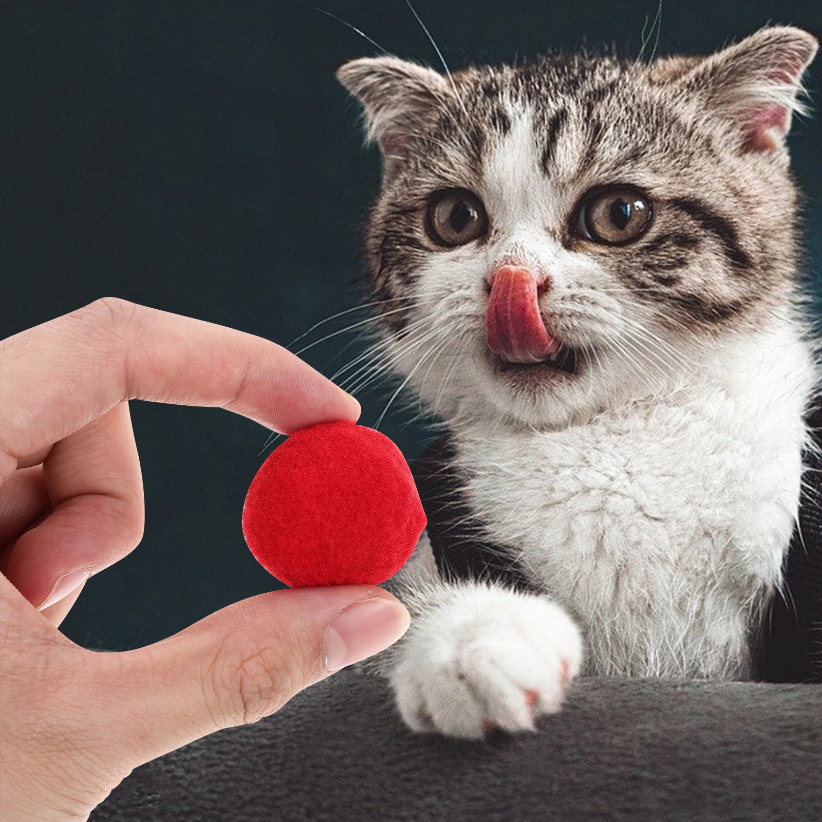 70pcs Cat Balls Interactive Kitten Toys for Indoor Cats Training Balls Scratching Physical Activity
70pcs Cat Balls Interactive Kitten Toys for Indoor Cats Training Balls Scratching Physical Activity