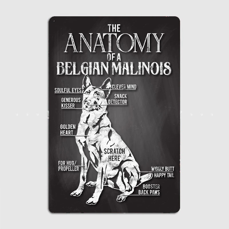 Belgian Malinois Anatomy DogLover Shepherd Metal Decorative Tin Sign Game Room Wall Art Plaque Modern Home Decor Aesthetic
Belgian Malinois Anatomy DogLover Shepherd Metal Decorative Tin Sign Game Room Wall Art Plaque Modern Home Decor Aesthetic