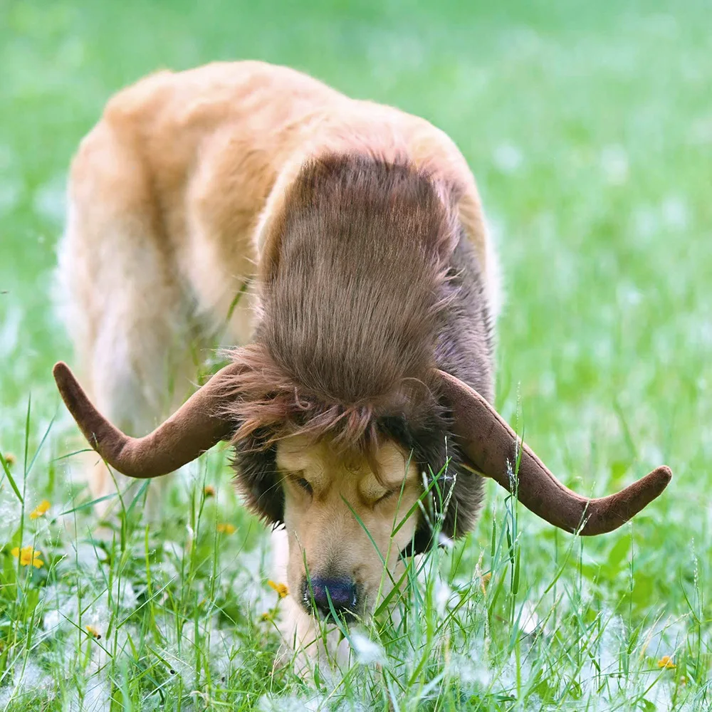 Dog Costumes Cattle Horns for Dogs Cap Cat Winter Warm Wig Headgear Funny Cute Pet Cosplay Dog Accessories For Small Dogs Hat
Dog Costumes Cattle Horns for Dogs Cap Cat Winter Warm Wig Headgear Funny Cute Pet Cosplay Dog Accessories For Small Dogs Hat