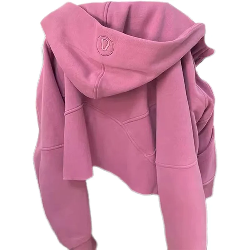 Retro Embroidery Design Hooded Sweatshirt for Women Petite Autumn Short Versatile Elegant Zipper Top
Retro Embroidery Design Hooded Sweatshirt for Women Petite Autumn Short Versatile Elegant Zipper Top