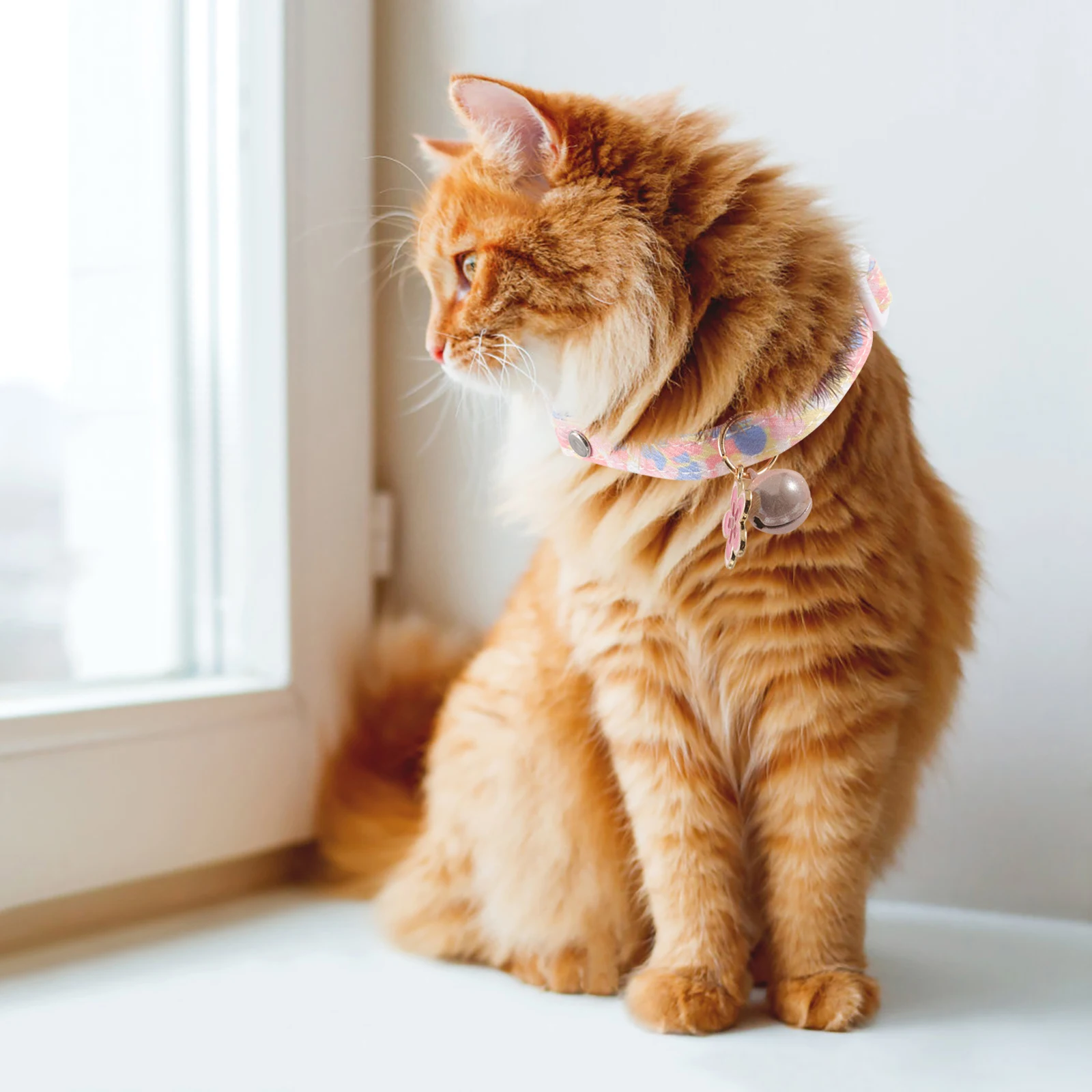 Cute Cat With Bell Floral Dog Adjustable Pet Decorative Kitten Collar Flower Pendant For Party Festival Wedding Adorable Puppy
Cute Cat With Bell Floral Dog Adjustable Pet Decorative Kitten Collar Flower Pendant For Party Festival Wedding Adorable Puppy