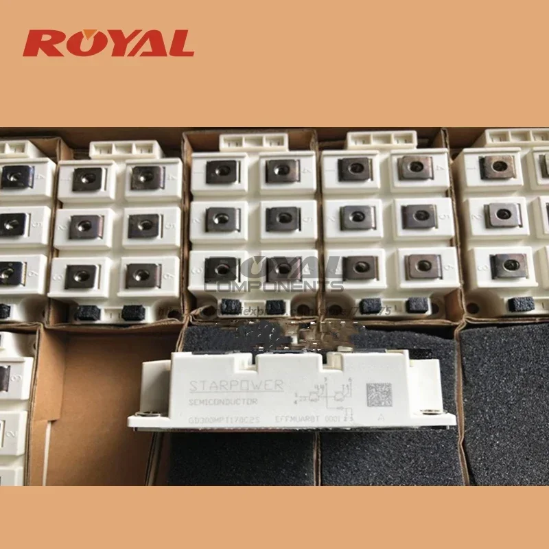 GD300NPT170C2S
GD300NPT170C2S