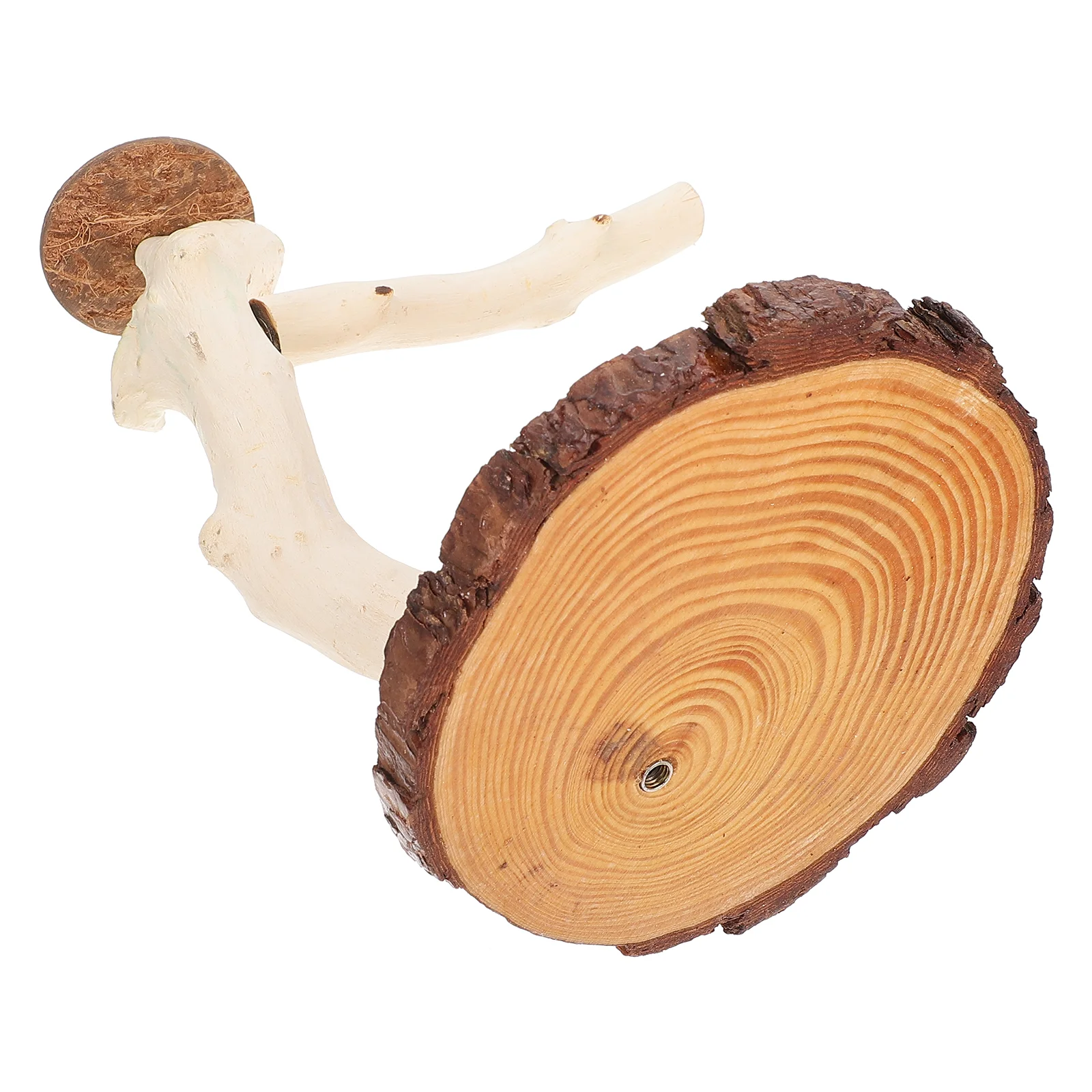 Playground Toys Pet Bird Plaything Desktop Stand Wooden Standing Rack Supplies Birds Birdcage Playstand Perch
Playground Toys Pet Bird Plaything Desktop Stand Wooden Standing Rack Supplies Birds Birdcage Playstand Perch