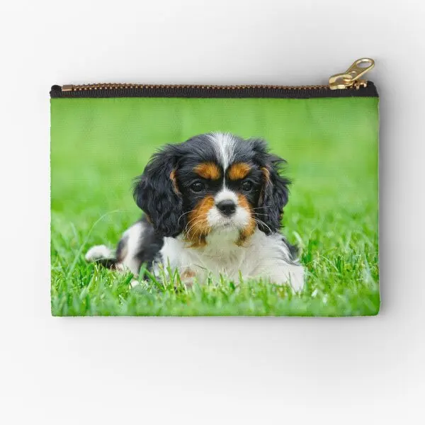 Кавалер-кинг-чарльз-спаниель, щенок, сумки на молнии, сумка для нижнего белья, женская чистая упаковка, мужской карман для хранения монет, маленький карман для денег
Кавалер-кинг-чарльз-спаниель, щенок, сумки на молнии, сумка для нижнего белья, женская чистая упаковка, мужской карман для хранения монет, маленький карман для денег