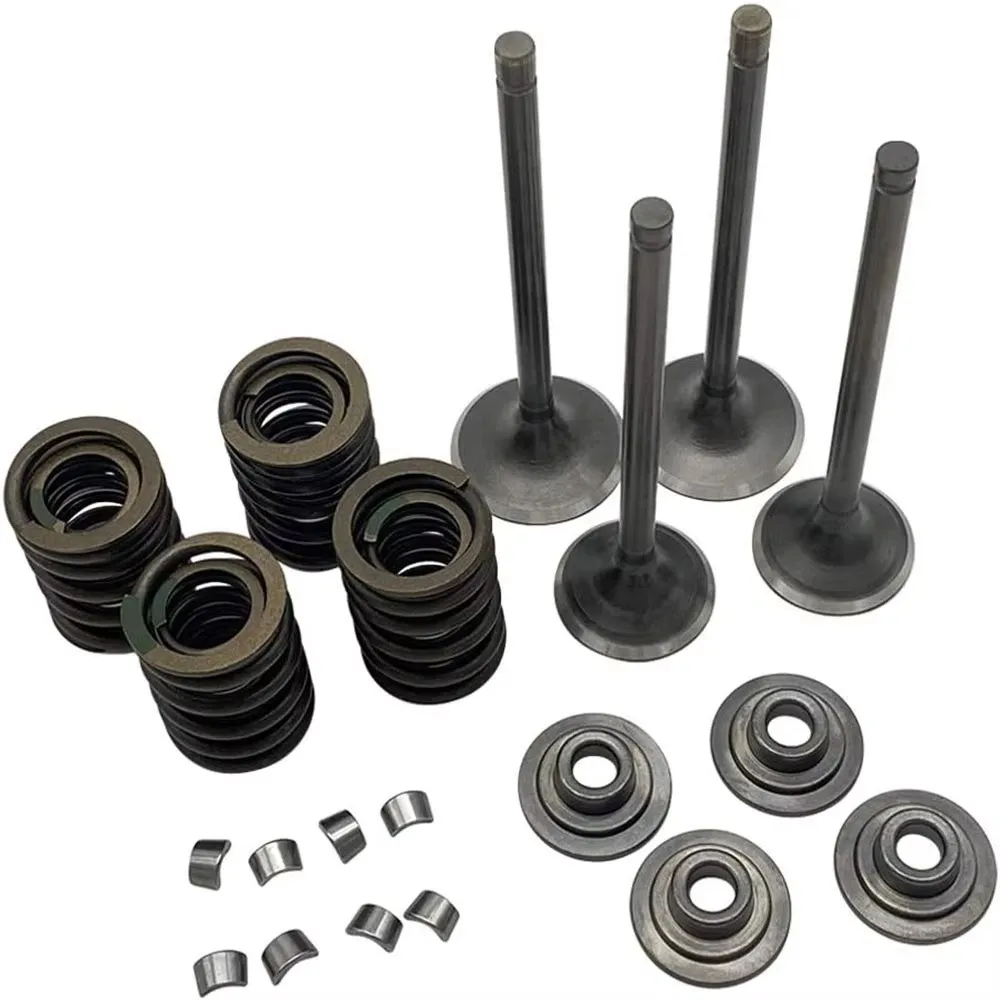 Head Intake & Exhaust Valves Seals Springs Kit For Honda XR650L XR650 1993-2017 2018 2019 2020 2021
Head Intake & Exhaust Valves Seals Springs Kit For Honda XR650L XR650 1993-2017 2018 2019 2020 2021
