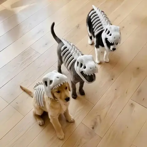 Chapéu de Crânio de Animal Realista, Estética Elevada, Adereço de Cabeça para Fantasia de Cosplay e Decoração