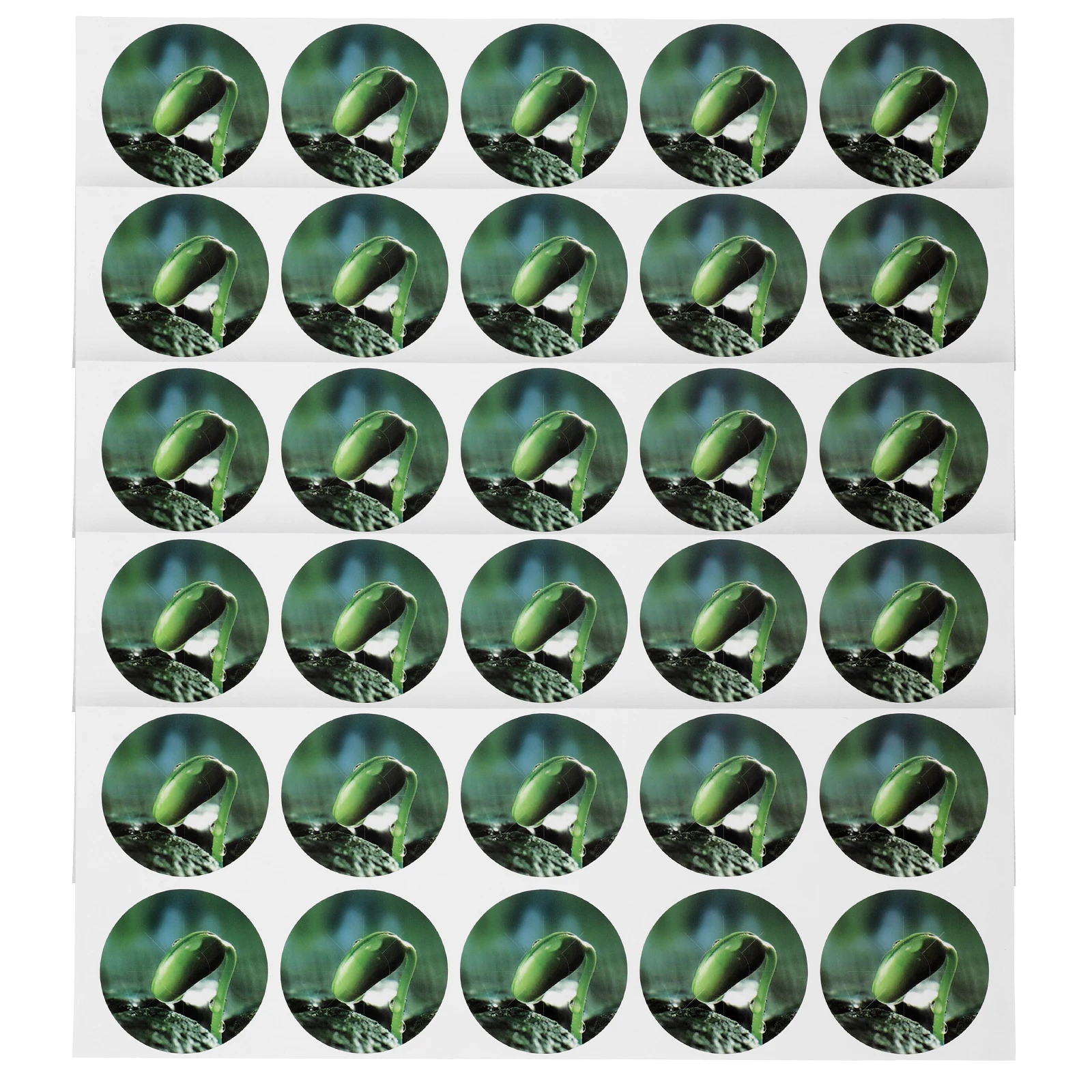 5 Sheets Moss-proof Stickers Soilless Cultivation Growing Basket PVC Hydroponic Labels Plant Markers Garden Supplies Seed
5 Sheets Moss-proof Stickers Soilless Cultivation Growing Basket PVC Hydroponic Labels Plant Markers Garden Supplies Seed