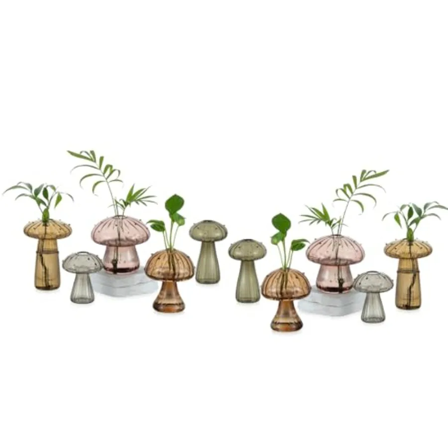 Colored Mushroom Plant Terrarium: Hand-Blown Glass Propagation Stations - Small Hydroponic Jars for Home Table Window Autumn De
Colored Mushroom Plant Terrarium: Hand-Blown Glass Propagation Stations - Small Hydroponic Jars for Home Table Window Autumn De