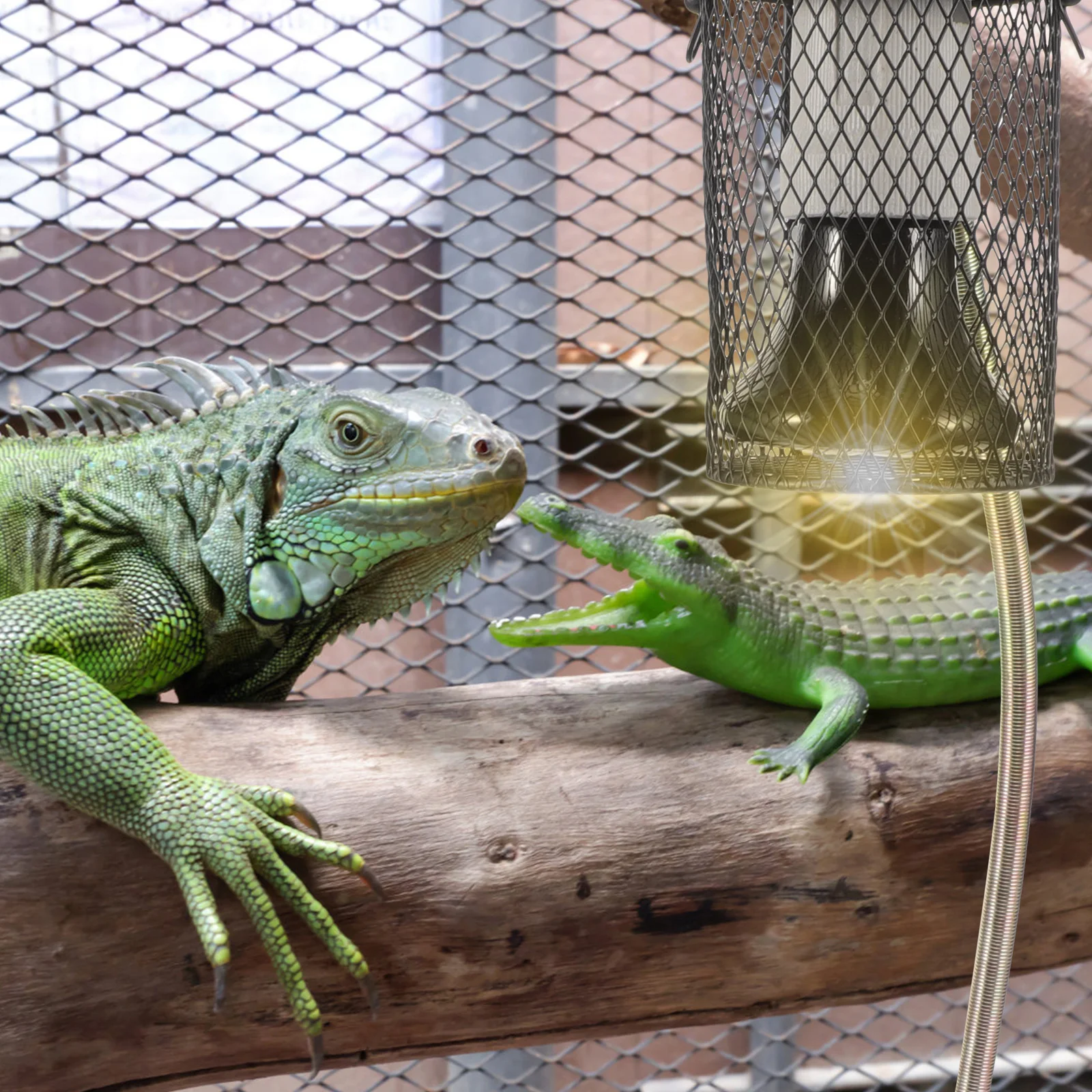Pet Heating Lamp Set Ceramic Reptile Heat Bulb Replaceable High Temp Rise Safe Durability Various Pets Warm
Pet Heating Lamp Set Ceramic Reptile Heat Bulb Replaceable High Temp Rise Safe Durability Various Pets Warm