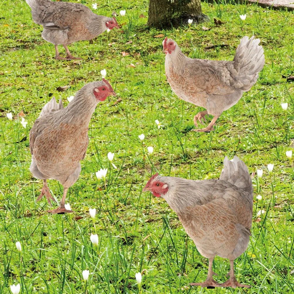 4Pcs Lifelike Acrylic Chicken Stake Garden Decoration Hen Yard Insert for Lawn Outdoor Courtyard Park and Flower Pot Decor
4Pcs Lifelike Acrylic Chicken Stake Garden Decoration Hen Yard Insert for Lawn Outdoor Courtyard Park and Flower Pot Decor