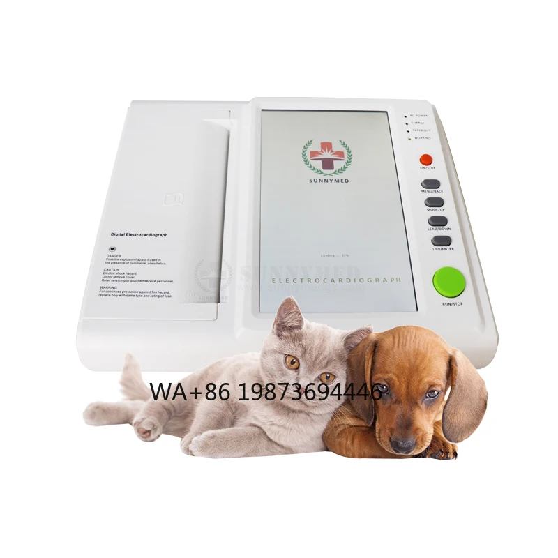 SY-H008VET Digital Electrocardiograph Machine Price 12 Lead Machine for Human Veterinary
SY-H008VET Digital Electrocardiograph Machine Price 12 Lead Machine for Human Veterinary