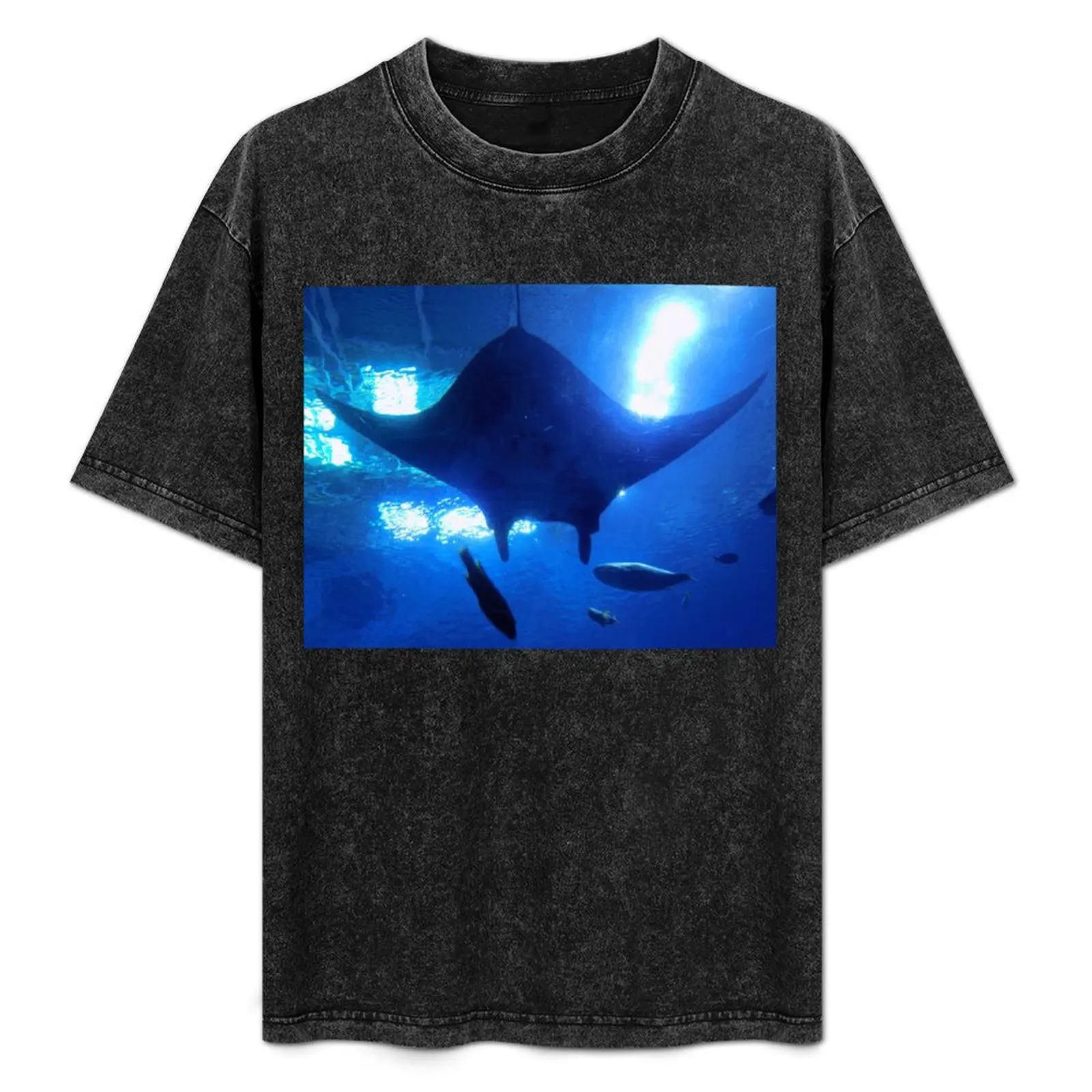 Manta Ray Underview T-Shirt Basic Simple Design Short Sleeve Shirt
Manta Ray Underview T-Shirt Basic Simple Design Short Sleeve Shirt