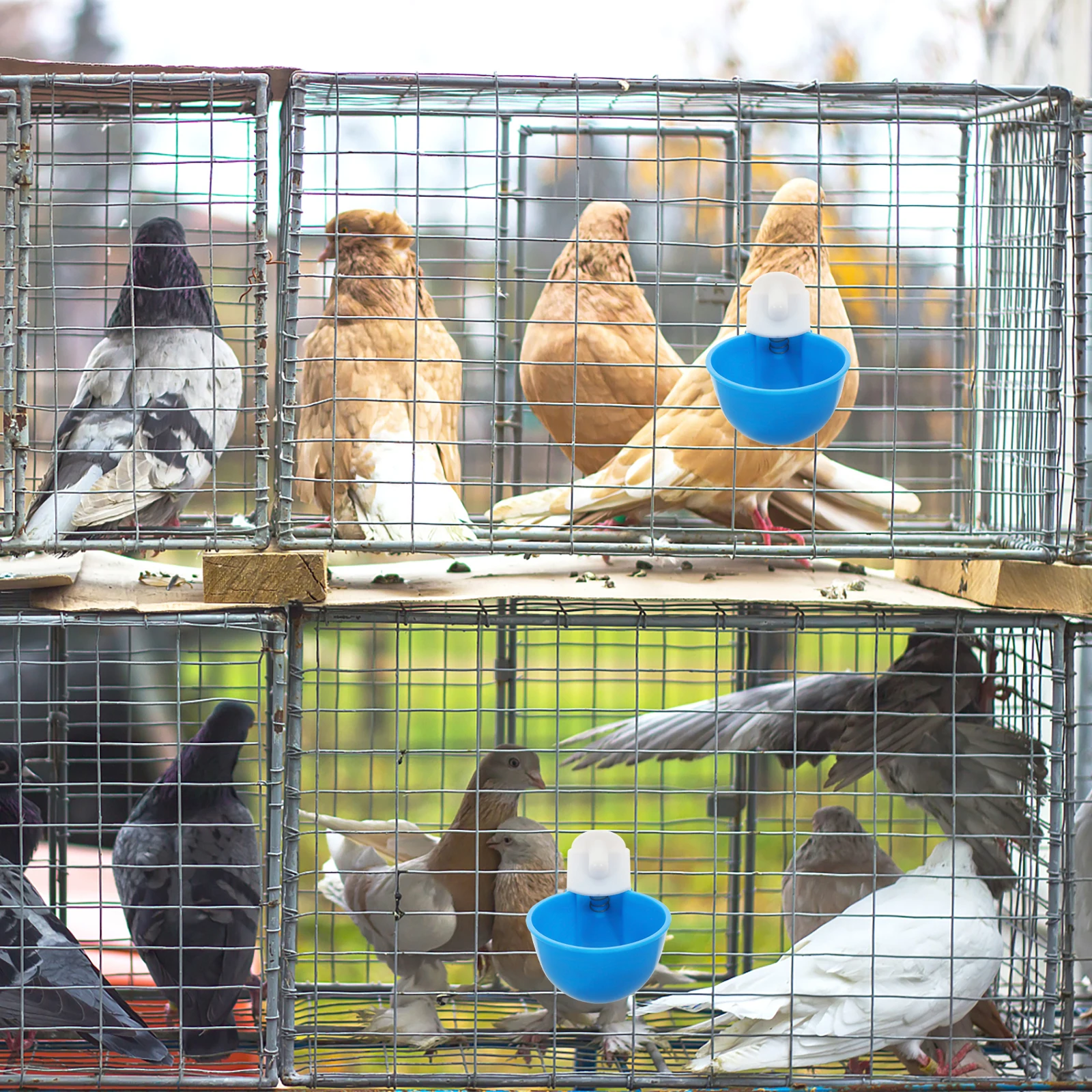 5Pcs Premium Poultry Water Bowl Automatic Drinker Durable Chicken Duck Pigeon Feeder Replaceable Multi-Function Household
5Pcs Premium Poultry Water Bowl Automatic Drinker Durable Chicken Duck Pigeon Feeder Replaceable Multi-Function Household