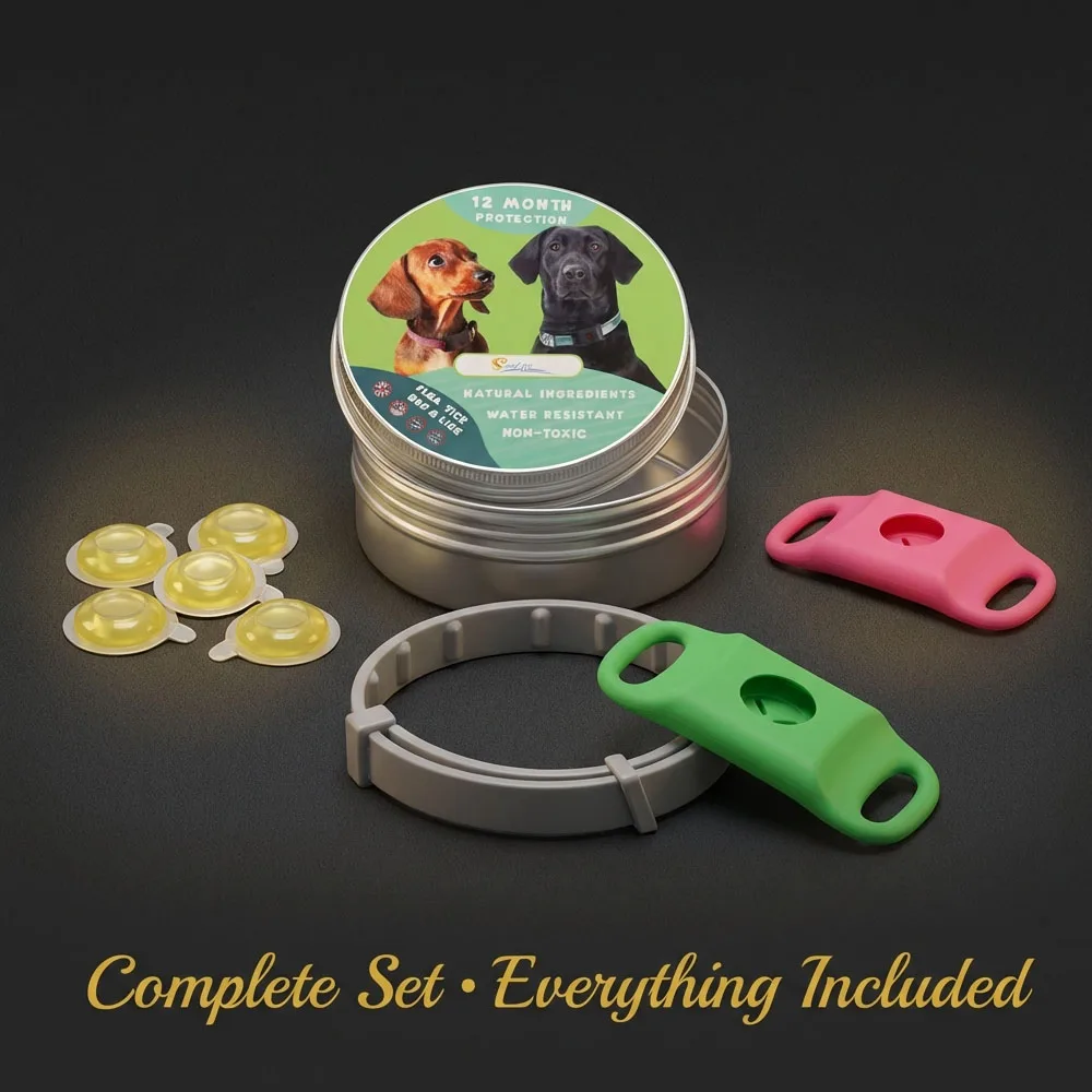 Outdoor-Ready Pet Protection Collar Natural Waterproof Tear-Resistant Design Safety Accessory for Active Dogs and Daily Walks
Outdoor-Ready Pet Protection Collar Natural Waterproof Tear-Resistant Design Safety Accessory for Active Dogs and Daily Walks