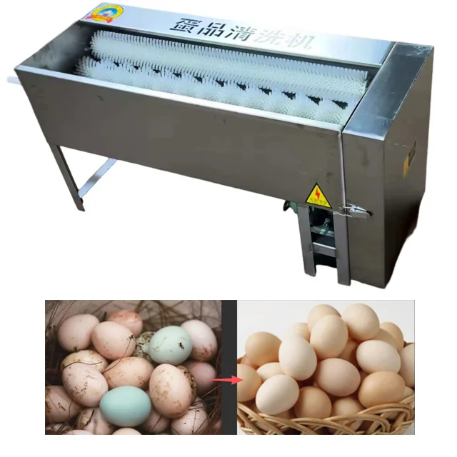 Automatic Stainless Steel Egg Cleaning Sorting Machine with Motor High Capacity 1800pcs/h Egg Washing System
Automatic Stainless Steel Egg Cleaning Sorting Machine with Motor High Capacity 1800pcs/h Egg Washing System