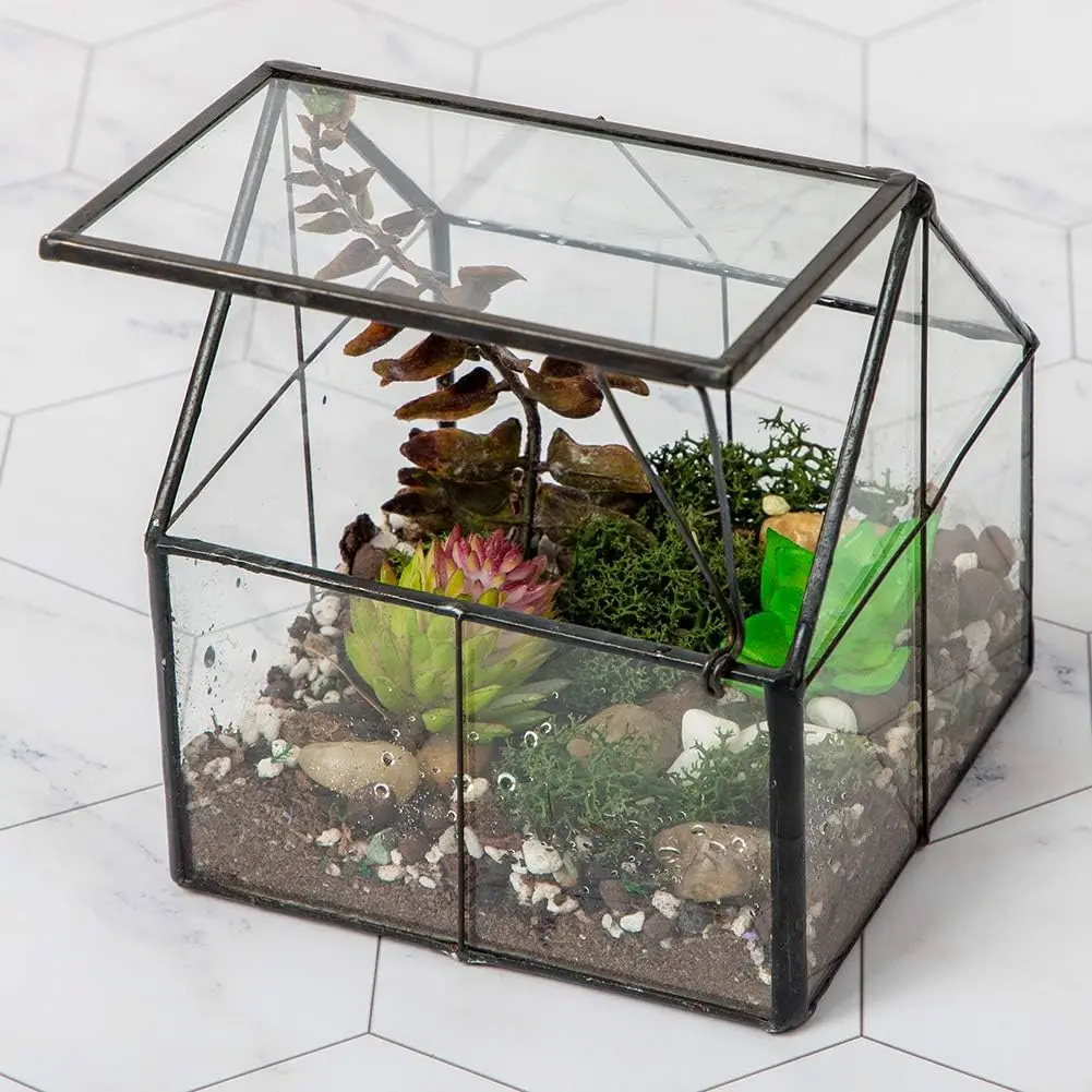 Mini Glass Terrarium House with Door for Succulents, 4.9x4.3x4.3 Inches
Mini Glass Terrarium House with Door for Succulents, 4.9x4.3x4.3 Inches