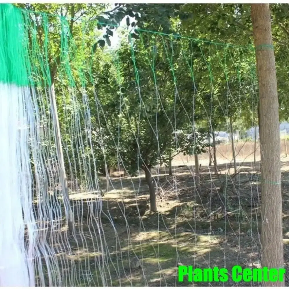 2x100 м сетка для восхождения по растениям, многоразовая сетка для восхождения виноградной лозы, люфа, огурец, дыня, подвесная решетка для овощей, пруд, защита бассейна
2x100 м сетка для восхождения по растениям, многоразовая сетка для восхождения виноградной лозы, люфа, огурец, дыня, подвесная решетка для овощей, пруд, защита бассейна