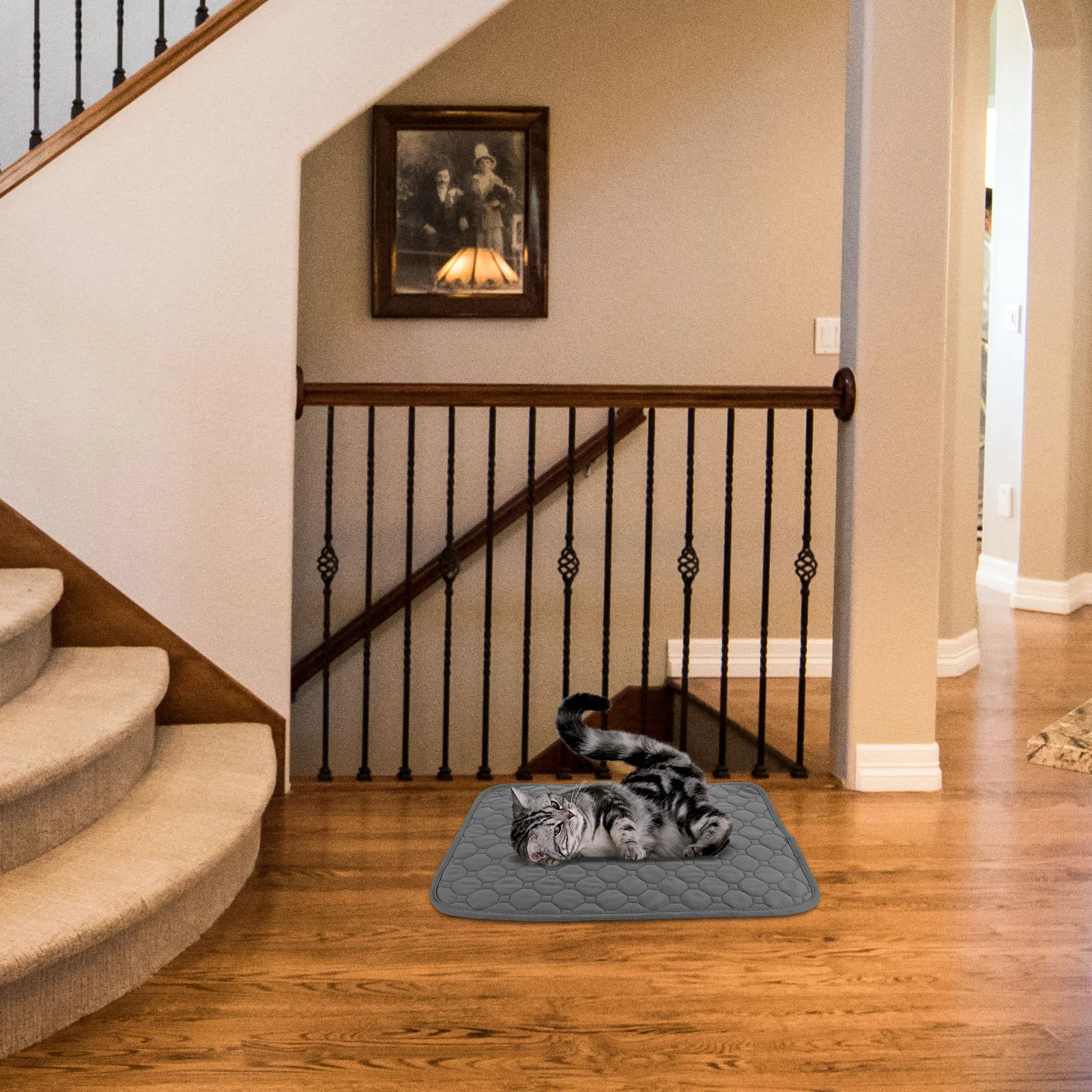 Washable Hamster Pee Pad Pet Cushion Chinchilla Cage Liner Reusable Absorbent Bedding for Small Pets Hamster Bedding 
Washable Hamster Pee Pad Pet Cushion Chinchilla Cage Liner Reusable Absorbent Bedding for Small Pets Hamster Bedding