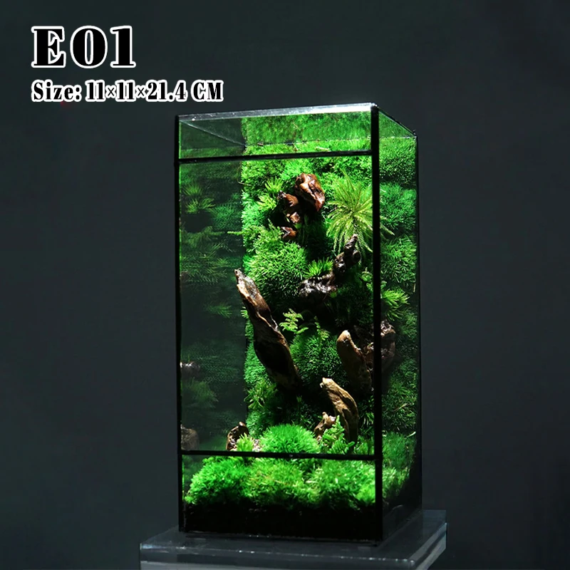 Rainforest Fern Moss Ecological Square Shape Geometric Glass Terrarium Tabletop Plant Glass Vase Container Table Greenhouse Deco
Rainforest Fern Moss Ecological Square Shape Geometric Glass Terrarium Tabletop Plant Glass Vase Container Table Greenhouse Deco