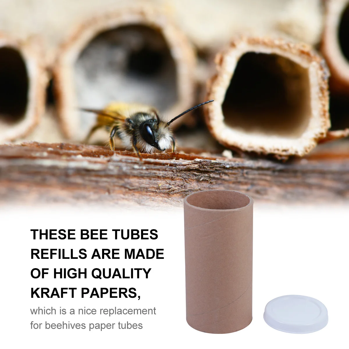 5pcs Kraft Paper Tubes Refills No Burr Beehive Replacement Storage Organizer Packaging Material Mailing Tubes
5pcs Kraft Paper Tubes Refills No Burr Beehive Replacement Storage Organizer Packaging Material Mailing Tubes