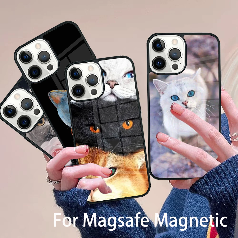 British Shorthair cat On Sale Painted Phone Case Magesafe Magnetic Wireless Cover For IPhone 16 11 12 13 14 15 Pro Max Plus Mini
British Shorthair cat On Sale Painted Phone Case Magesafe Magnetic Wireless Cover For IPhone 16 11 12 13 14 15 Pro Max Plus Mini