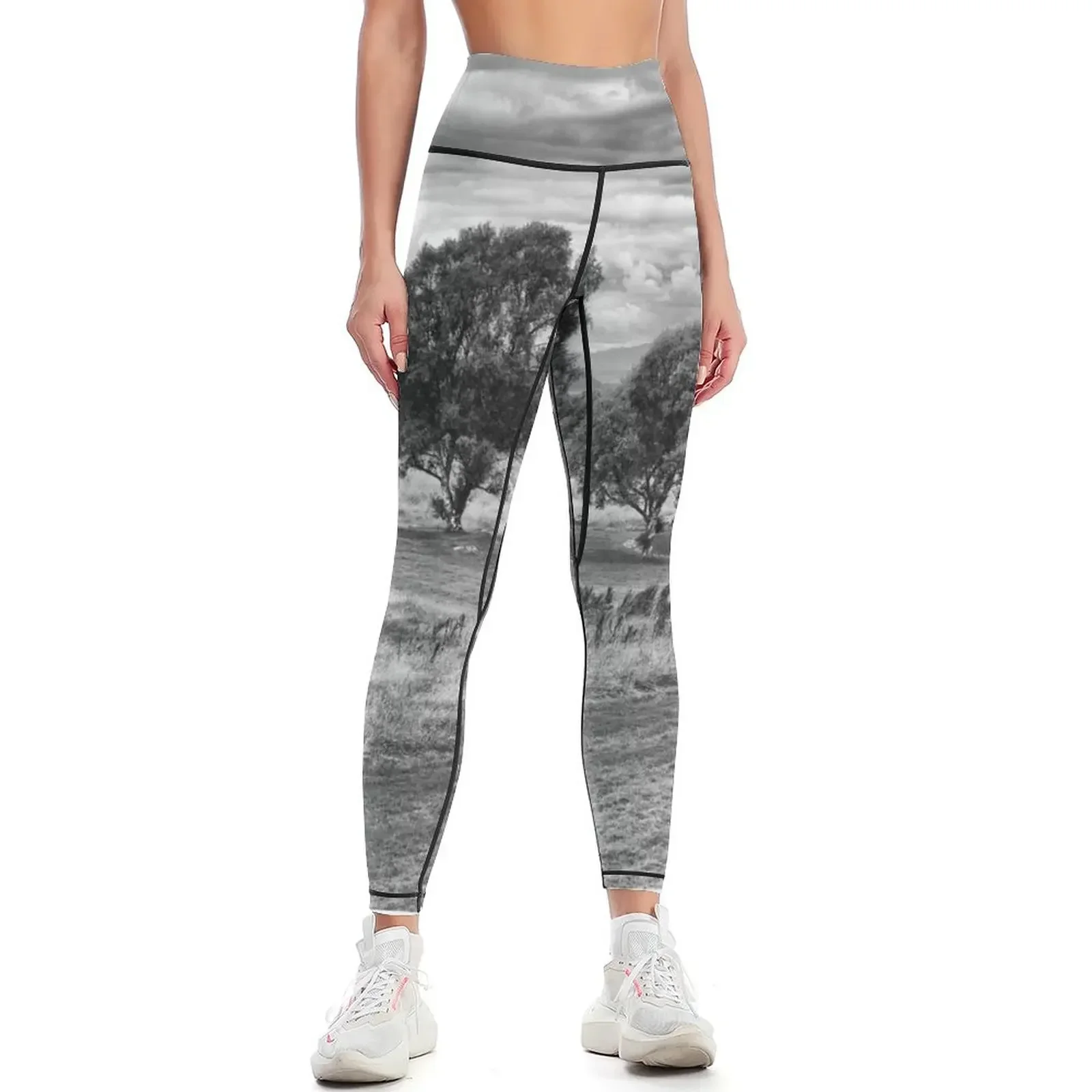Culloden Leggings push up tights for Training pants fitness set gym Fitness woman Womens Leggings
Culloden Leggings push up tights for Training pants fitness set gym Fitness woman Womens Leggings