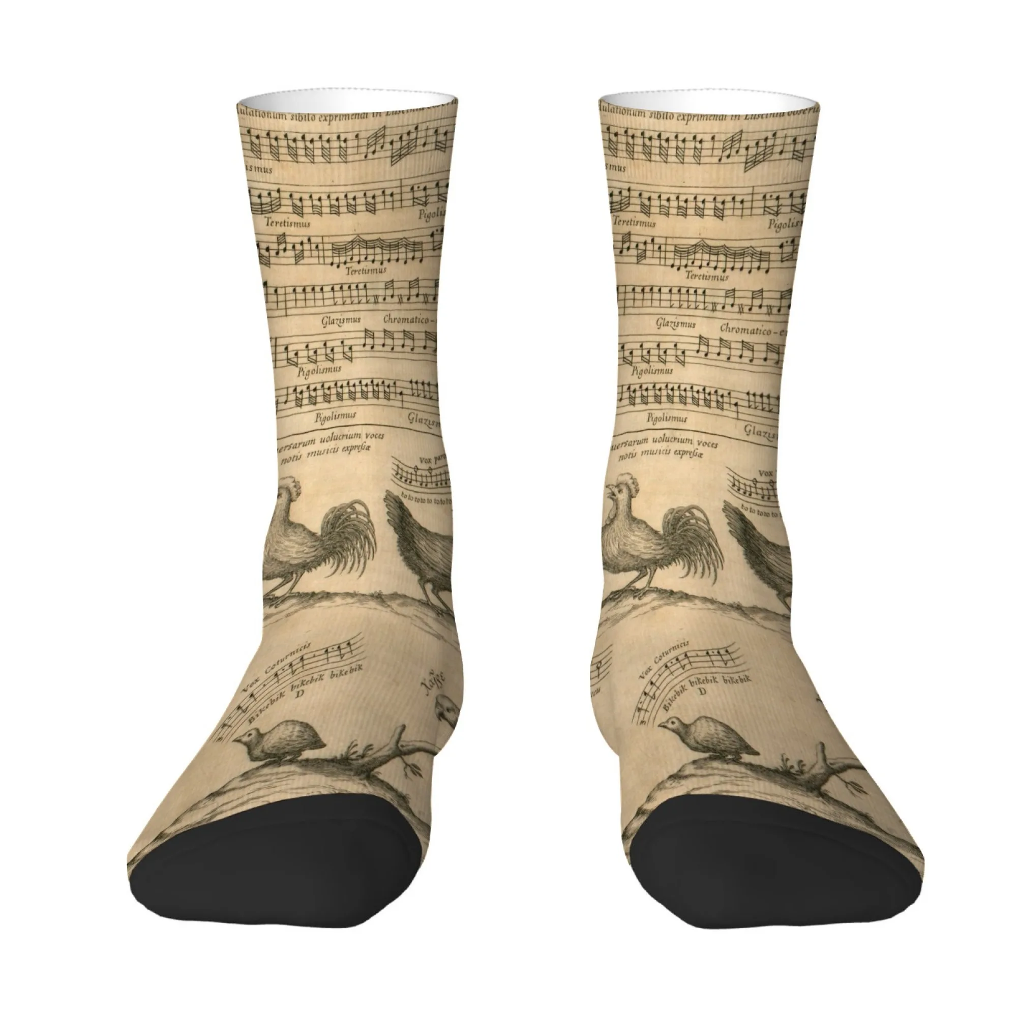 Retro Newspaper and Sheet Music Rooster Print Men's Socks Skin-friendly Breathable Soft Socks Street Harajuku Fun Hiking Socks
Retro Newspaper and Sheet Music Rooster Print Men's Socks Skin-friendly Breathable Soft Socks Street Harajuku Fun Hiking Socks