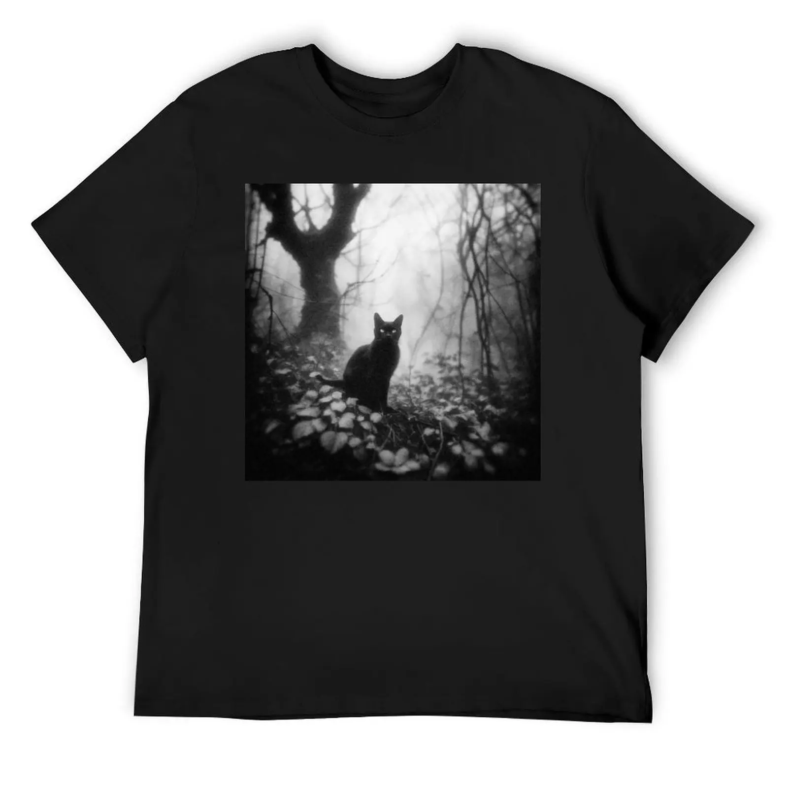 Eyes in the Darkness T-Shirt quick drying vintage graphic tee kawaii clothes tops Men's clothing
Eyes in the Darkness T-Shirt quick drying vintage graphic tee kawaii clothes tops Men's clothing
