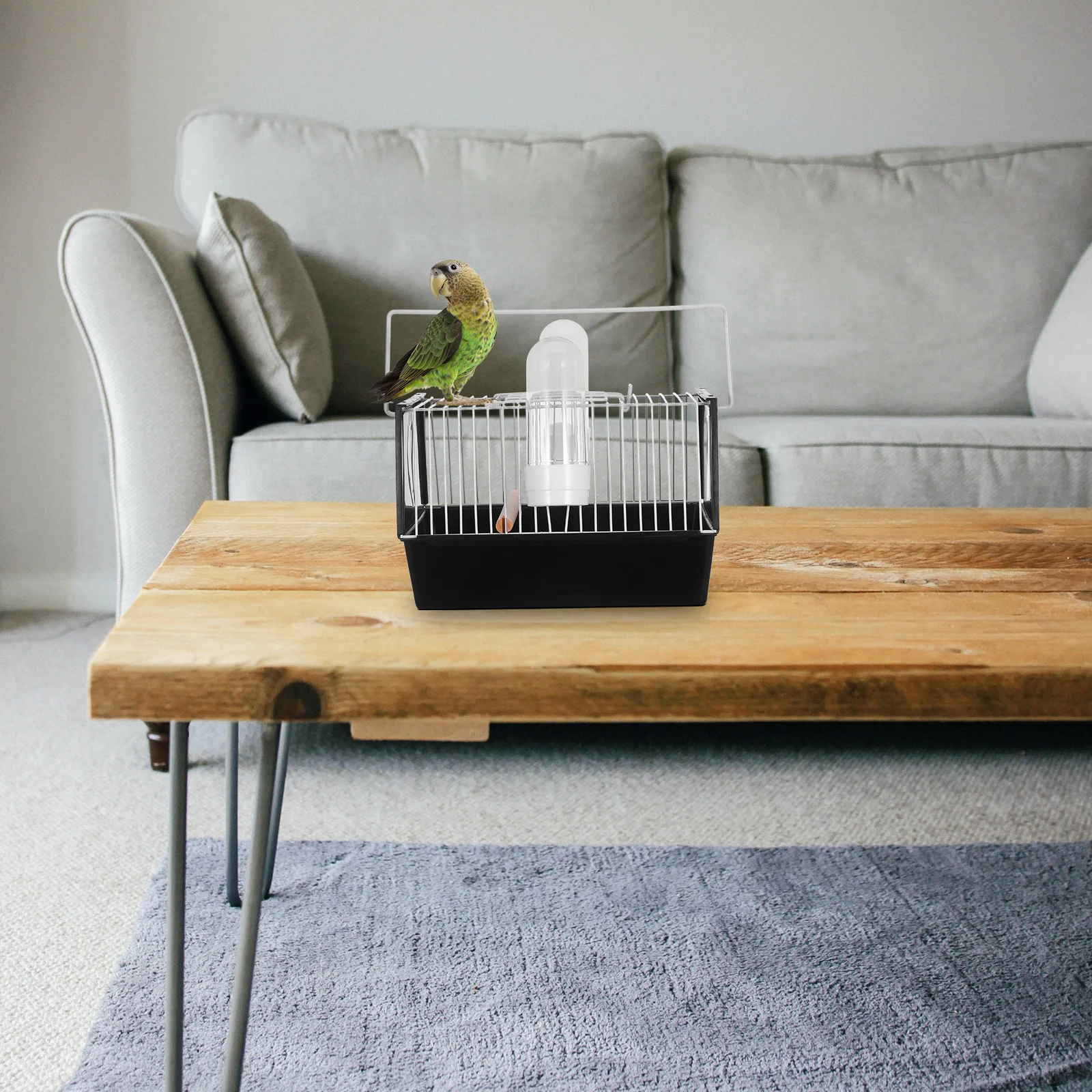 Складная клетка для птиц, 1 шт., высококачественная пластиковая переносная клетка для попугаев, решение для прогулок и транспортировки на улице
Складная клетка для птиц, 1 шт., высококачественная пластиковая переносная клетка для попугаев, решение для прогулок и транспортировки на улице