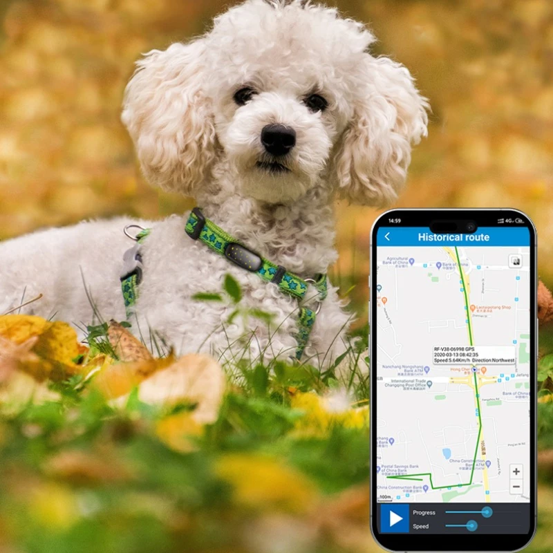 Безопасный и умный RF-V53 4G GPS-трекер для домашних животных для кошек/собак — водонепроницаемый IP67, позиционирование GPS + Beidou, аккумулятор 900 мАч, анти-потерянный локатор
Безопасный и умный RF-V53 4G GPS-трекер для домашних животных для кошек/собак — водонепроницаемый IP67, позиционирование GPS + Beidou, аккумулятор 900 мАч, анти-потерянный локатор