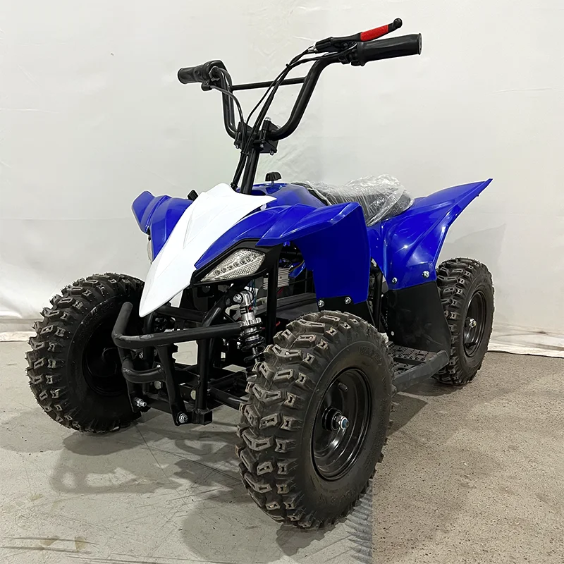 High-Performance Automatic Chain Drive Electric Quad for Extreme Adventures
High-Performance Automatic Chain Drive Electric Quad for Extreme Adventures
