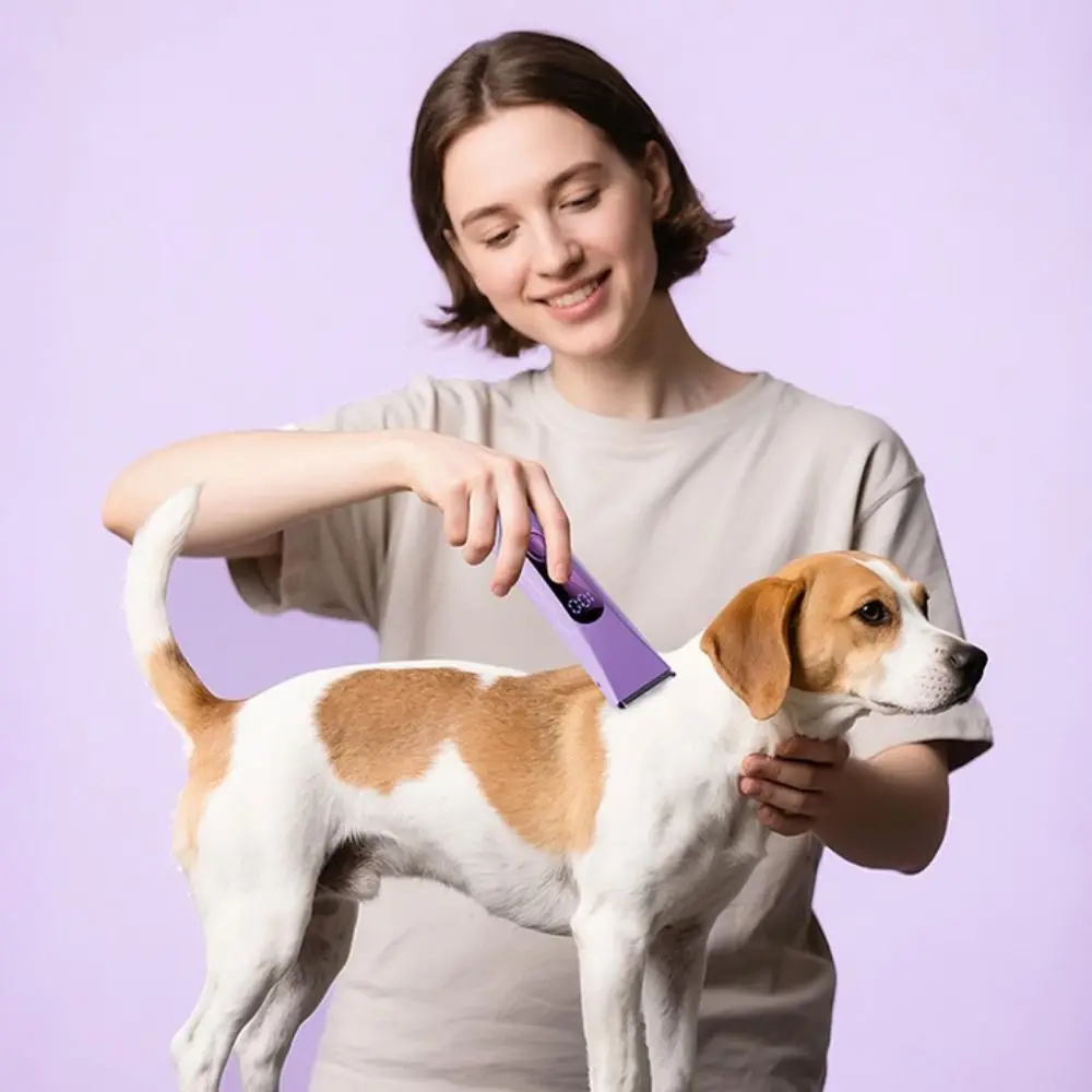 Электрический триммер 2-в-1 для удаления волос, безболезненный, с двойной насадкой, водонепроницаемый, для интимных зон и ног
Электрический триммер 2-в-1 для удаления волос, безболезненный, с двойной насадкой, водонепроницаемый, для интимных зон и ног