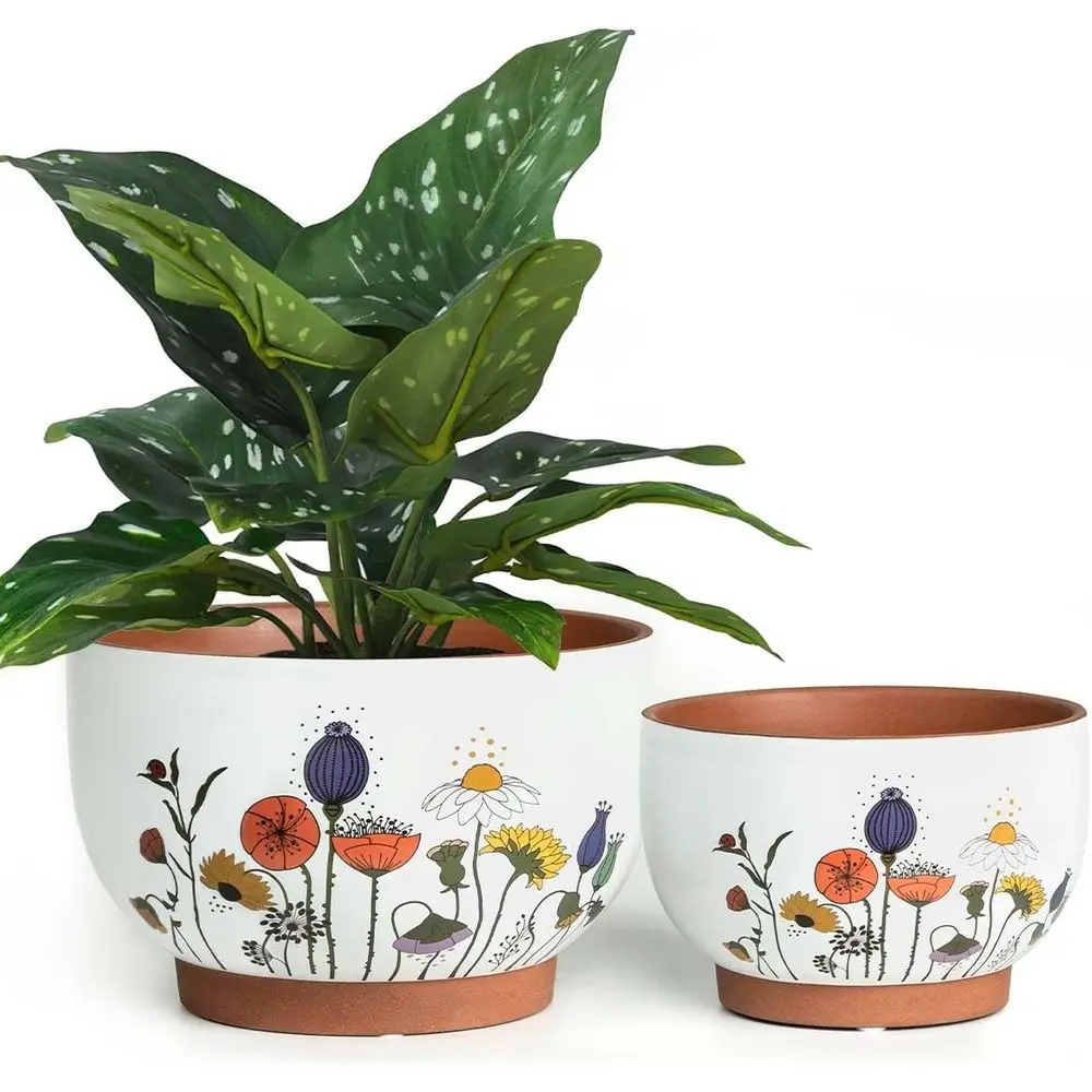 YBX 8 Inch & 6 Inch Terracotta Plant Pots, lower Pots or Indoor Plants with Drainage, Planters with loral Accent or Indoor Plant
YBX 8 Inch & 6 Inch Terracotta Plant Pots, lower Pots or Indoor Plants with Drainage, Planters with loral Accent or Indoor Plant