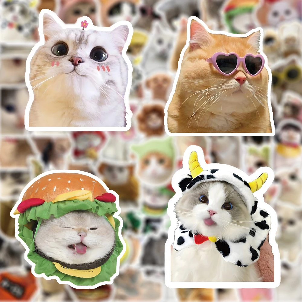 10/30/50/100pcs Funny Cute Cat Meme Stickers Creative Waterproof Graffiti DIY Luggage Laptop Phone Car Cartoon Decals Decoration
10/30/50/100pcs Funny Cute Cat Meme Stickers Creative Waterproof Graffiti DIY Luggage Laptop Phone Car Cartoon Decals Decoration