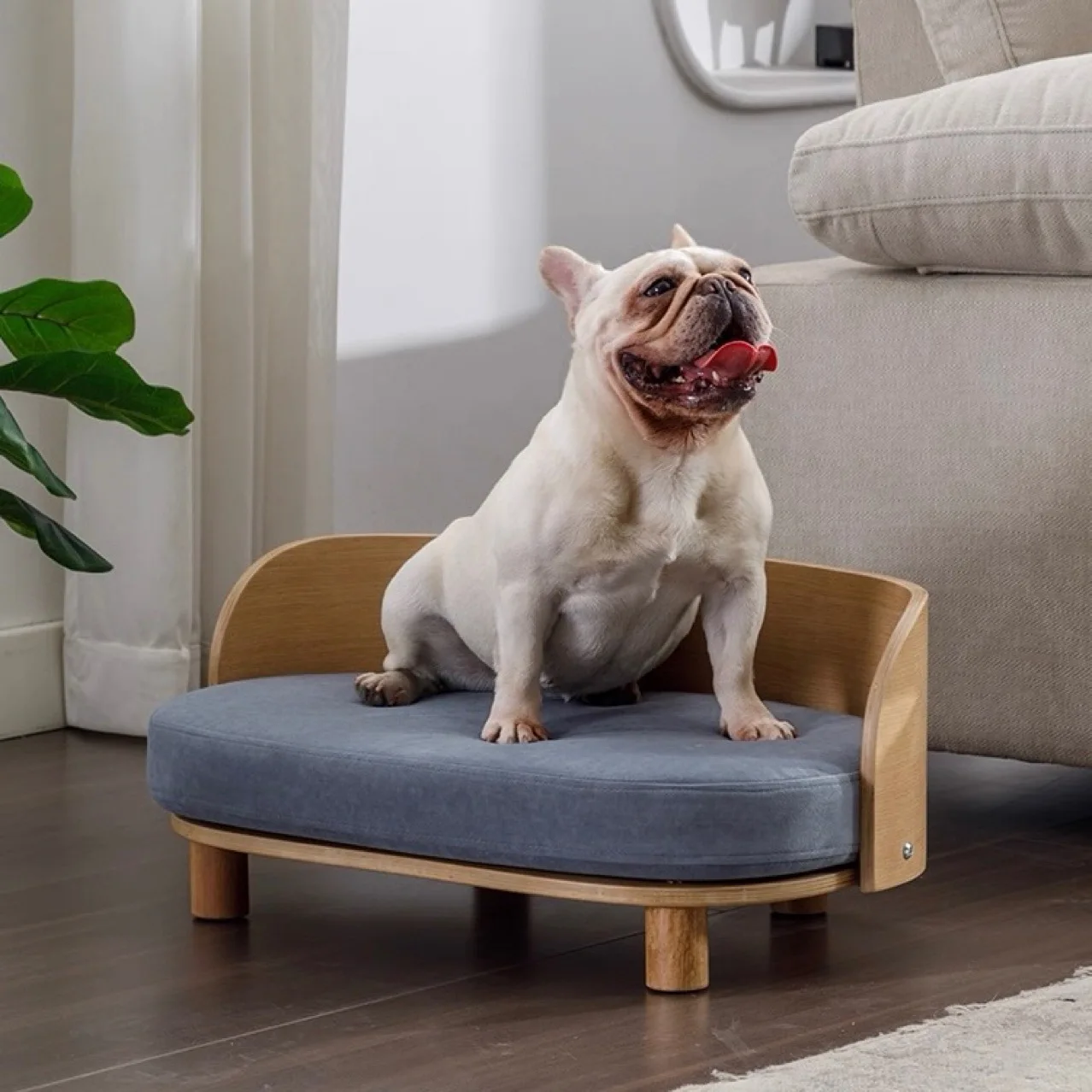 Modern Plush Teddy Pet Sofa Oval Cat & Dog Bed for Large/Medium/Small Sizes
Modern Plush Teddy Pet Sofa Oval Cat & Dog Bed for Large/Medium/Small Sizes