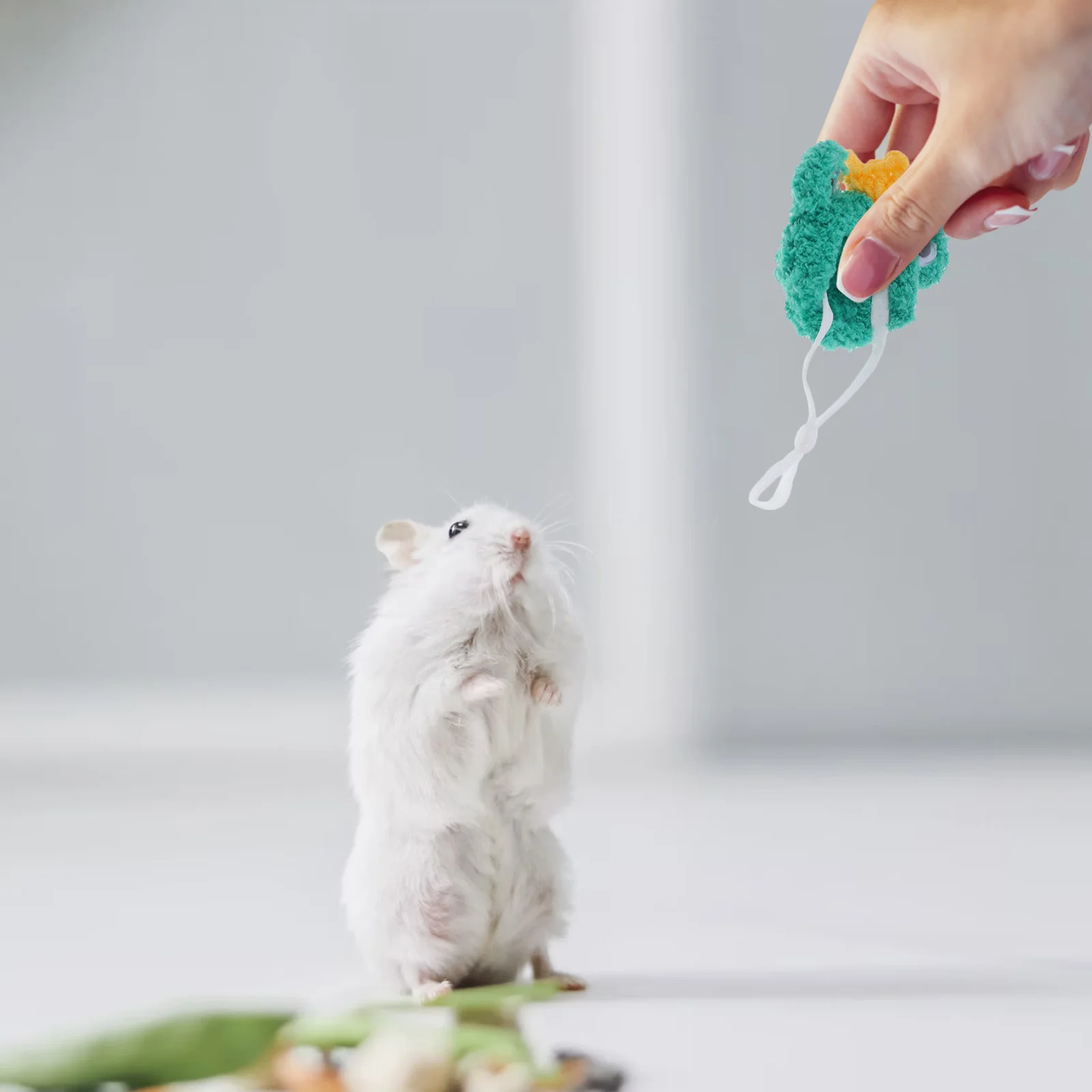 Mini Small Animal Adjustable Frog Hat Pet Headwear for Hamsters Lizards Guinea Pigs Hedgehogs Lightweight Knitted Holiday Party
Mini Small Animal Adjustable Frog Hat Pet Headwear for Hamsters Lizards Guinea Pigs Hedgehogs Lightweight Knitted Holiday Party