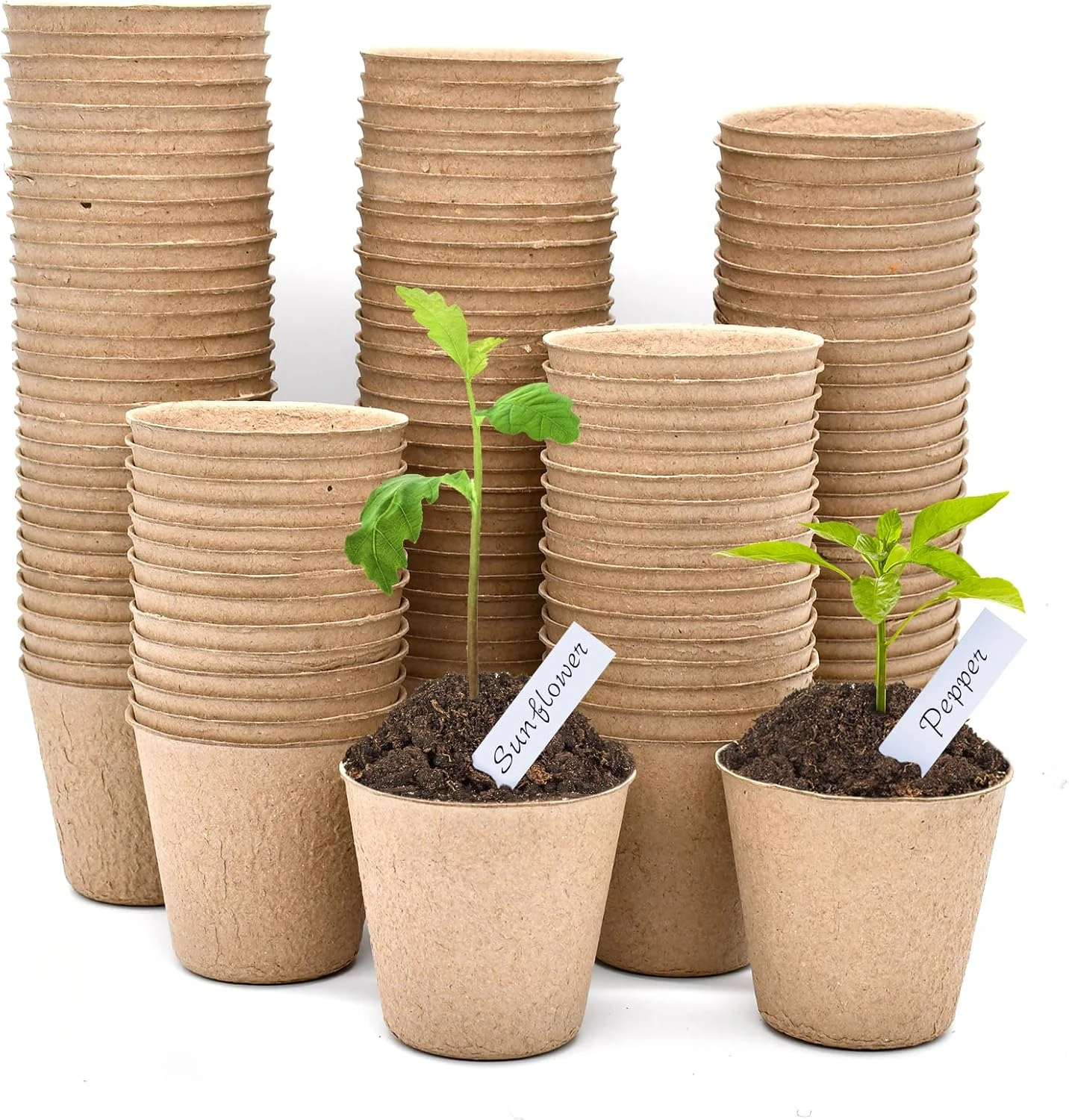 20-200PCS Environmental protection Garden Round Peat Pots Plant Seedling Starters Cups Nursery Herb Seed Tray Planting Tools
20-200PCS Environmental protection Garden Round Peat Pots Plant Seedling Starters Cups Nursery Herb Seed Tray Planting Tools