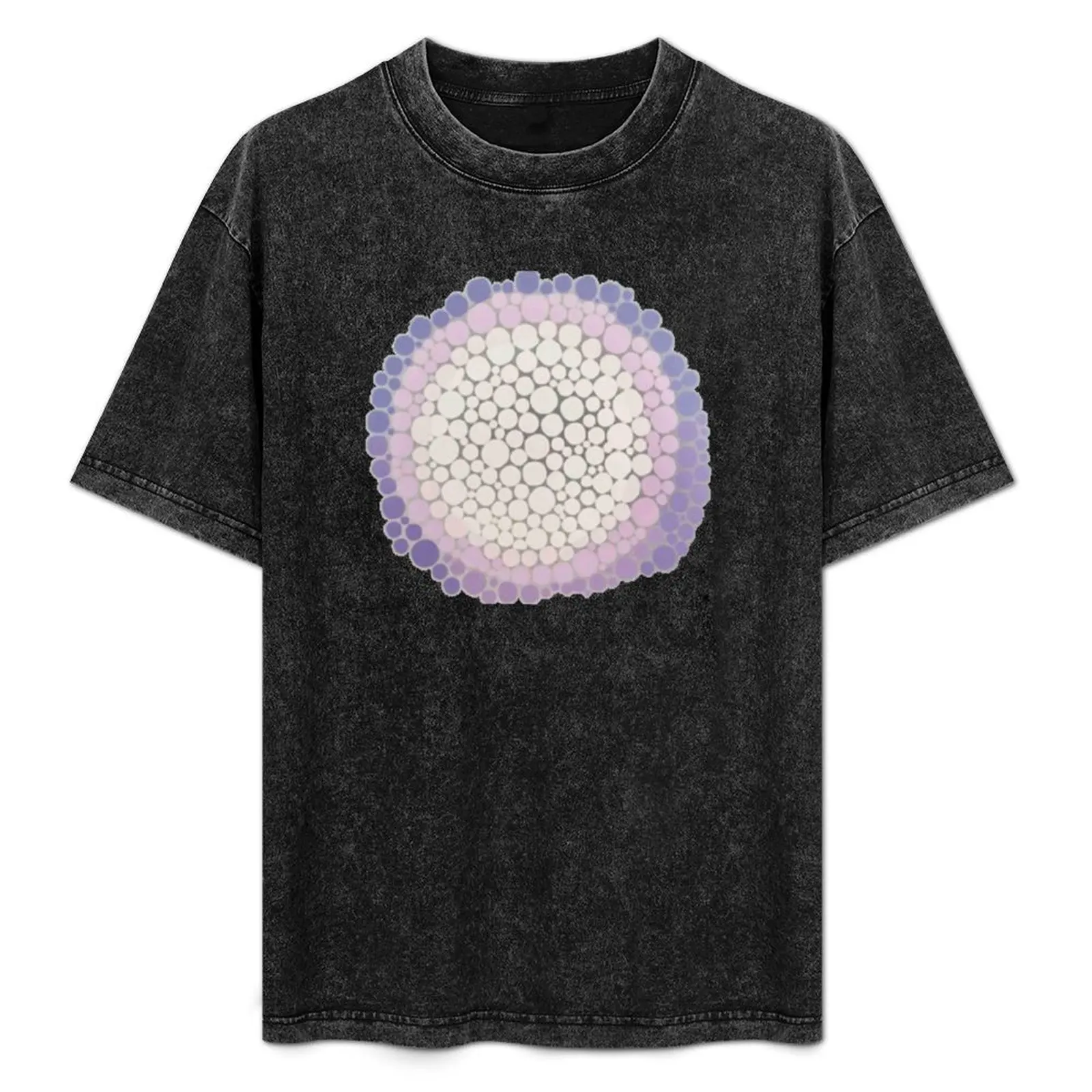 Day & Age T-Shirt Basic Solid Color Short Sleeve Cotton Top
Day & Age T-Shirt Basic Solid Color Short Sleeve Cotton Top