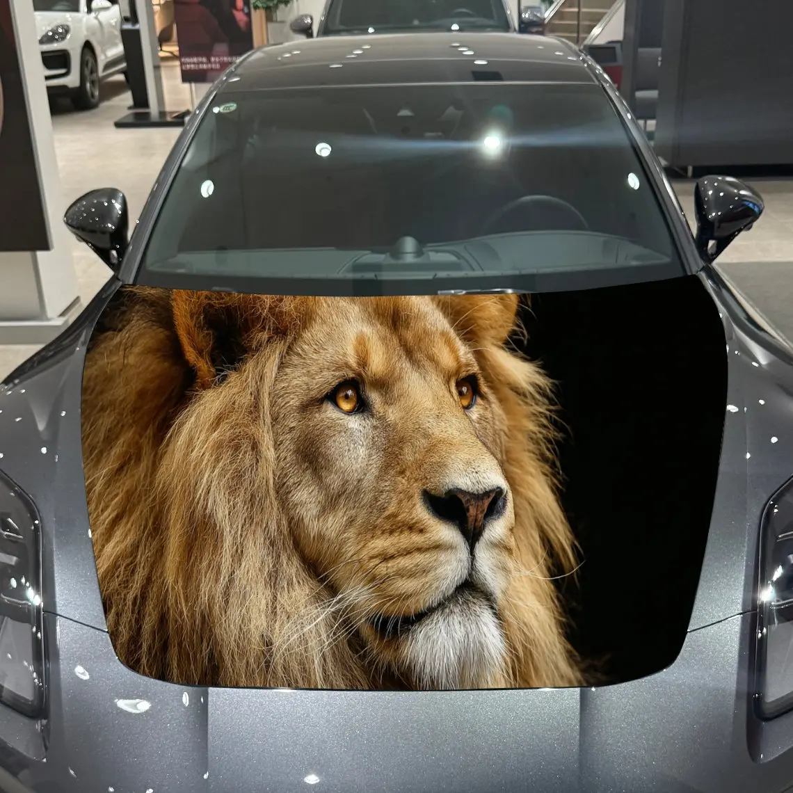 Majestic Lion Bold Style Thrill PVC Car Hood Wraps, Self-Adhesive Waterproof Car Bonnet Decal Sticker, Car Decoration Protection
Majestic Lion Bold Style Thrill PVC Car Hood Wraps, Self-Adhesive Waterproof Car Bonnet Decal Sticker, Car Decoration Protection