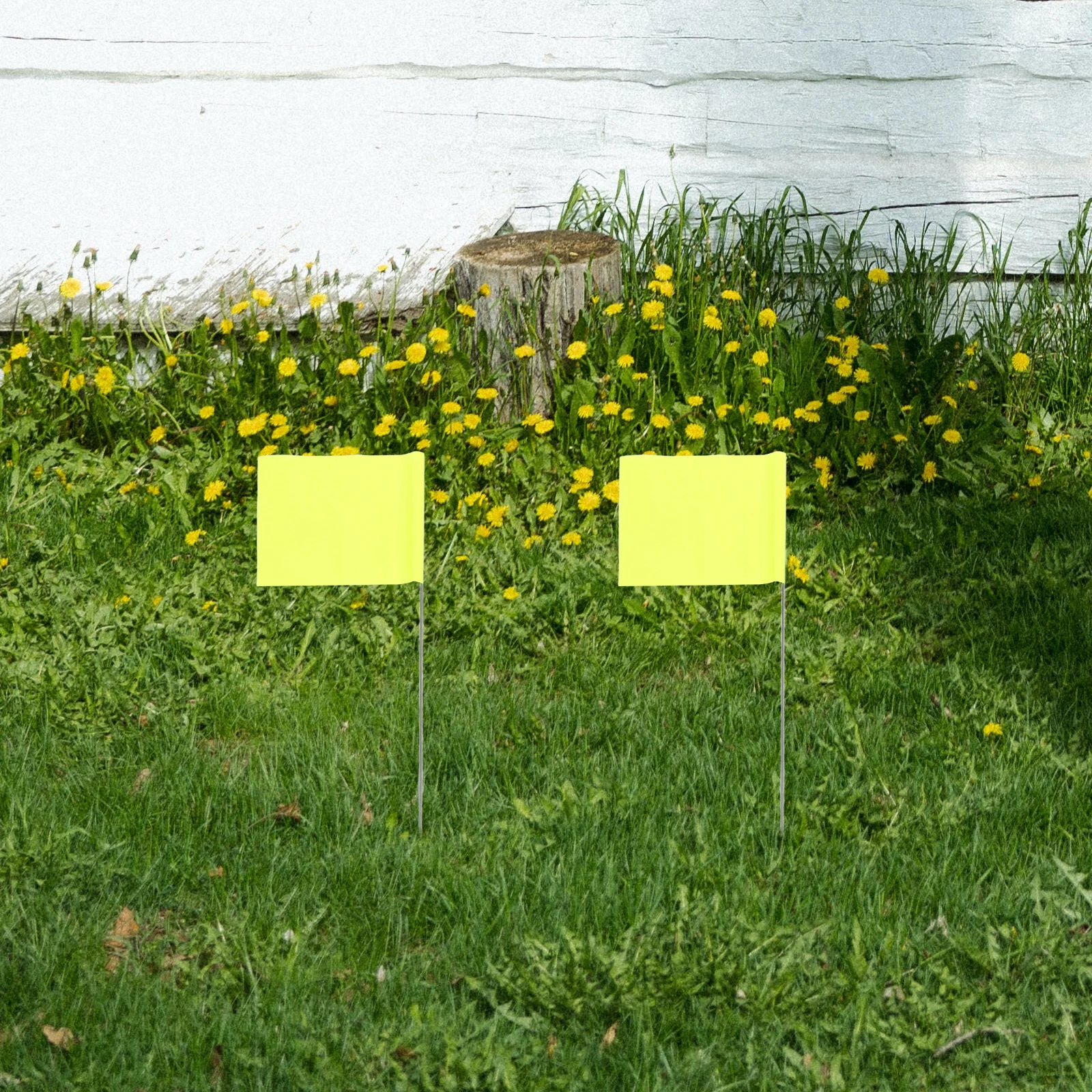 50pcs Landmark PVC Steel Wire Sturdy Lawn Marking Flags Garden Yard Irrigation Camping Tent Marker Dog Poop Locator Triangular
50pcs Landmark PVC Steel Wire Sturdy Lawn Marking Flags Garden Yard Irrigation Camping Tent Marker Dog Poop Locator Triangular