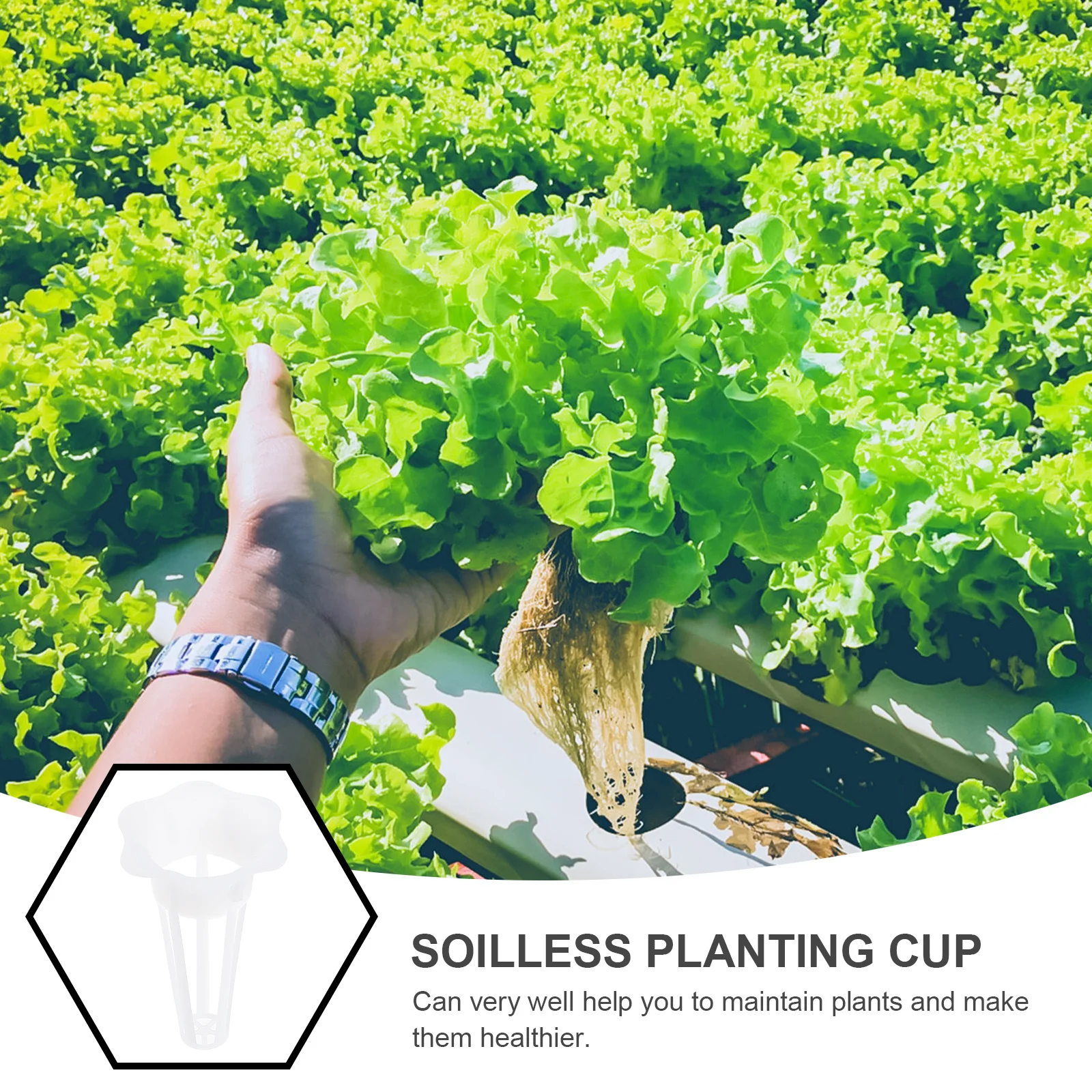 50Pcs Plastic Planting Baskets Hydroponic System Cups for Garden Vegetable Growth Soilless Cultivation Growth Basket Accessories
50Pcs Plastic Planting Baskets Hydroponic System Cups for Garden Vegetable Growth Soilless Cultivation Growth Basket Accessories