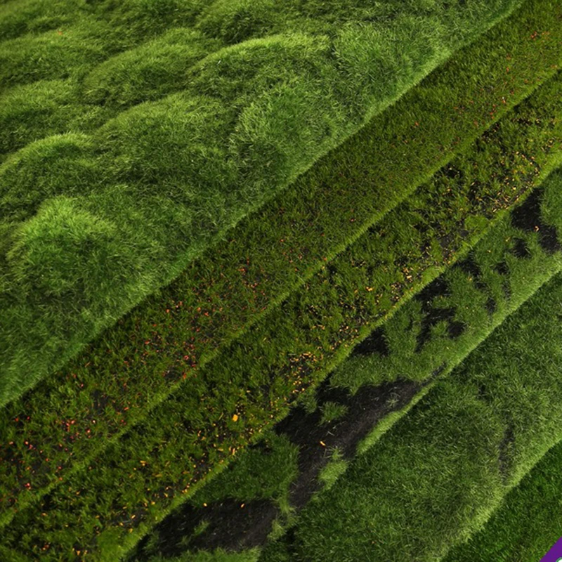 1x1m Artificial Moss Home Garden Road Decoration Green Grass Artificial Plants Landscape Fake Grass-plot Lawn DIY Decor
1x1m Artificial Moss Home Garden Road Decoration Green Grass Artificial Plants Landscape Fake Grass-plot Lawn DIY Decor