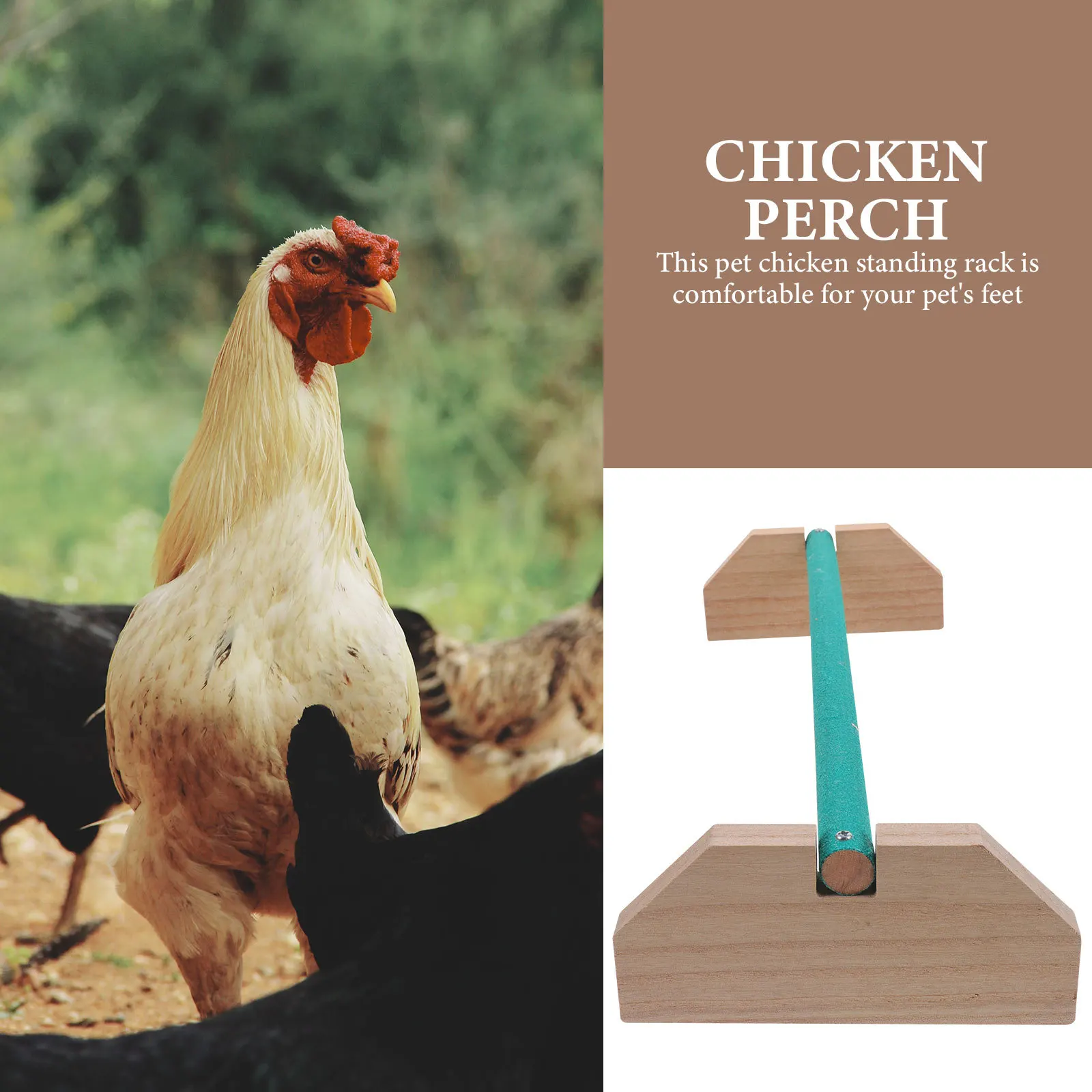Wooden Chicken Perch Natural Texture Wear-Resistant Chick Standing Stand Indoor Bird Roosting Bar Pet Supplies
Wooden Chicken Perch Natural Texture Wear-Resistant Chick Standing Stand Indoor Bird Roosting Bar Pet Supplies
